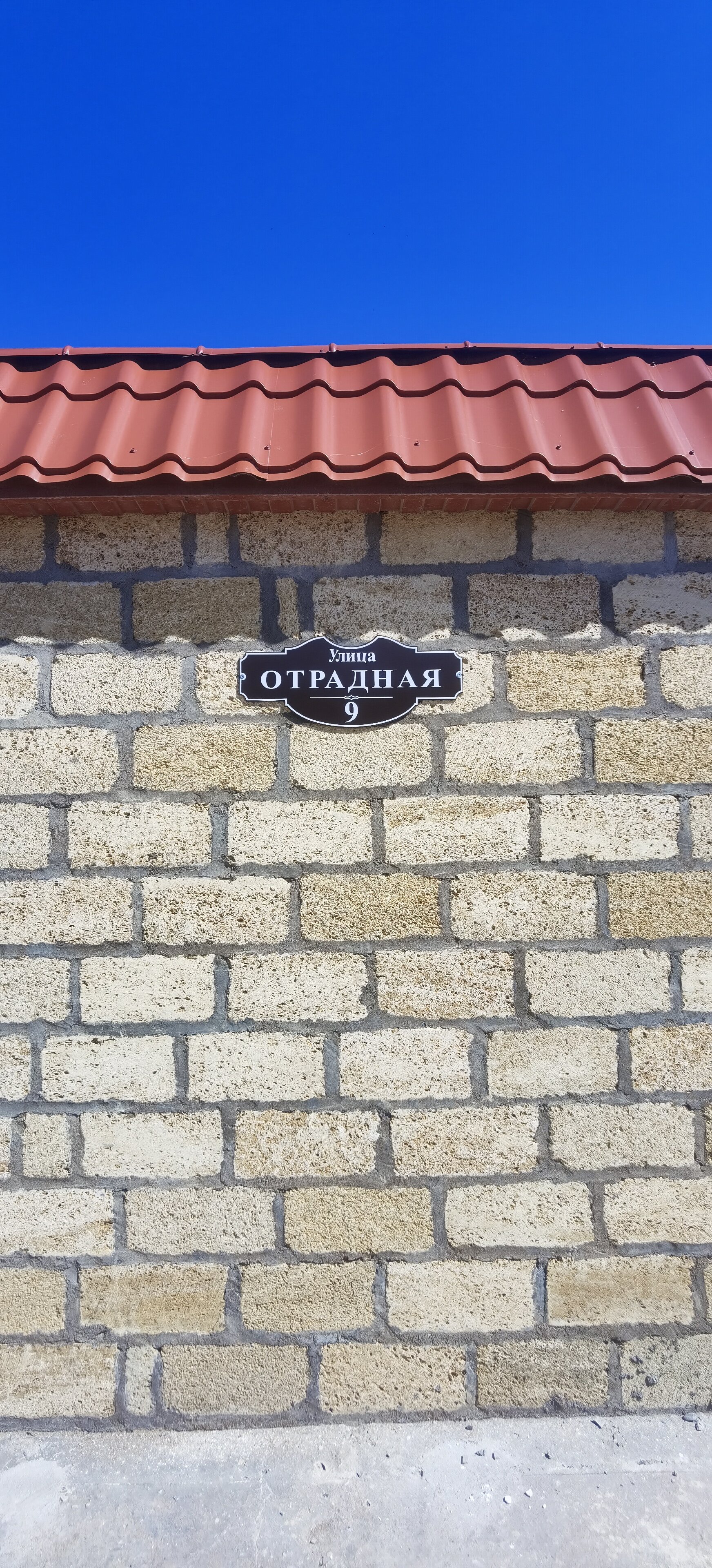 Фото Морская Звезда