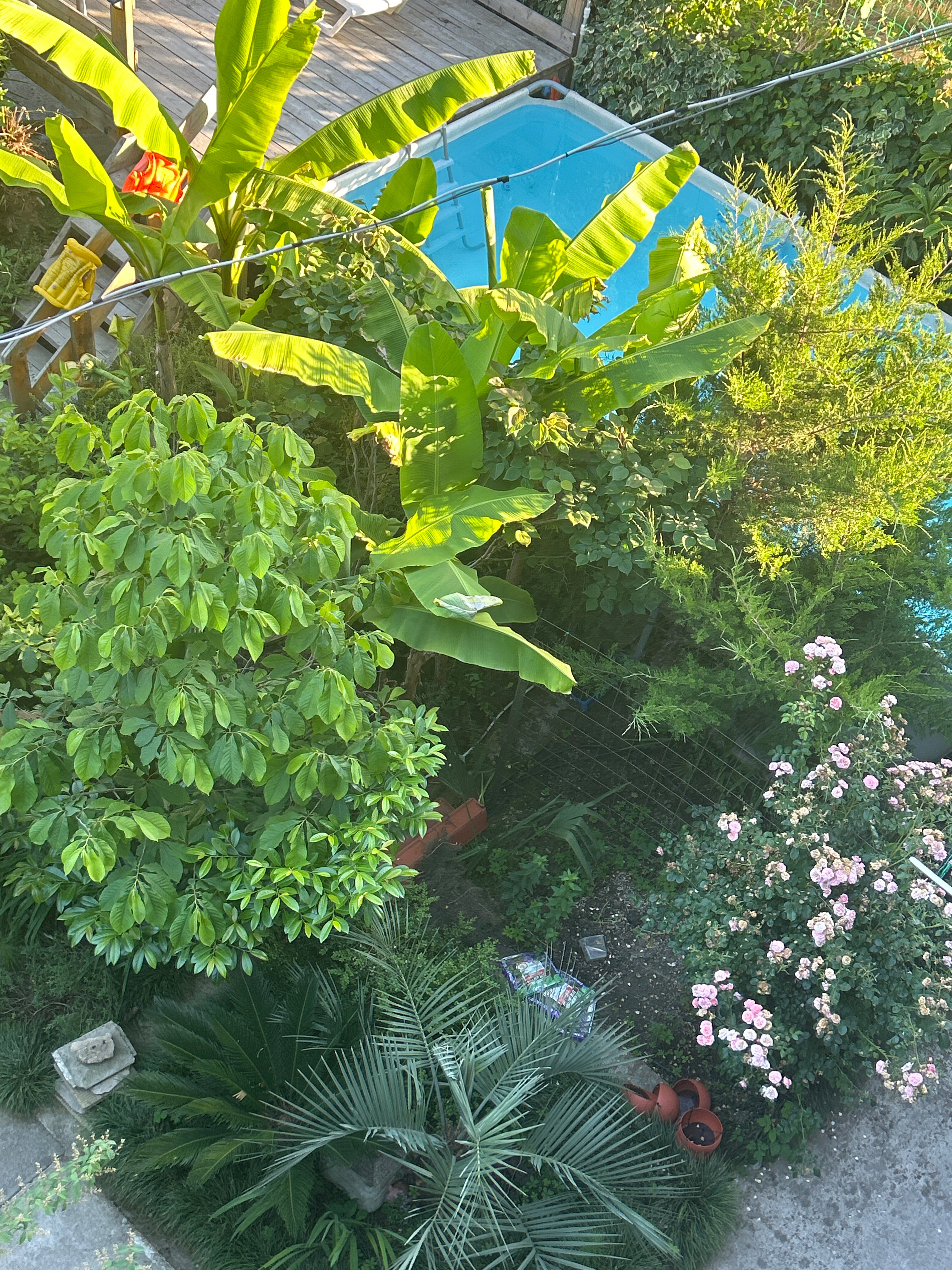 Фото АквариумЛоо