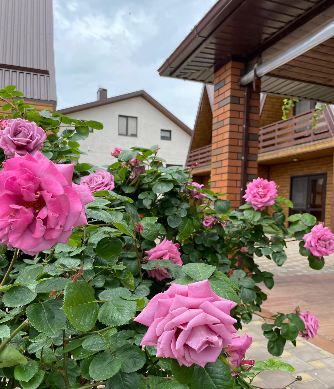 Фото Семейное благо