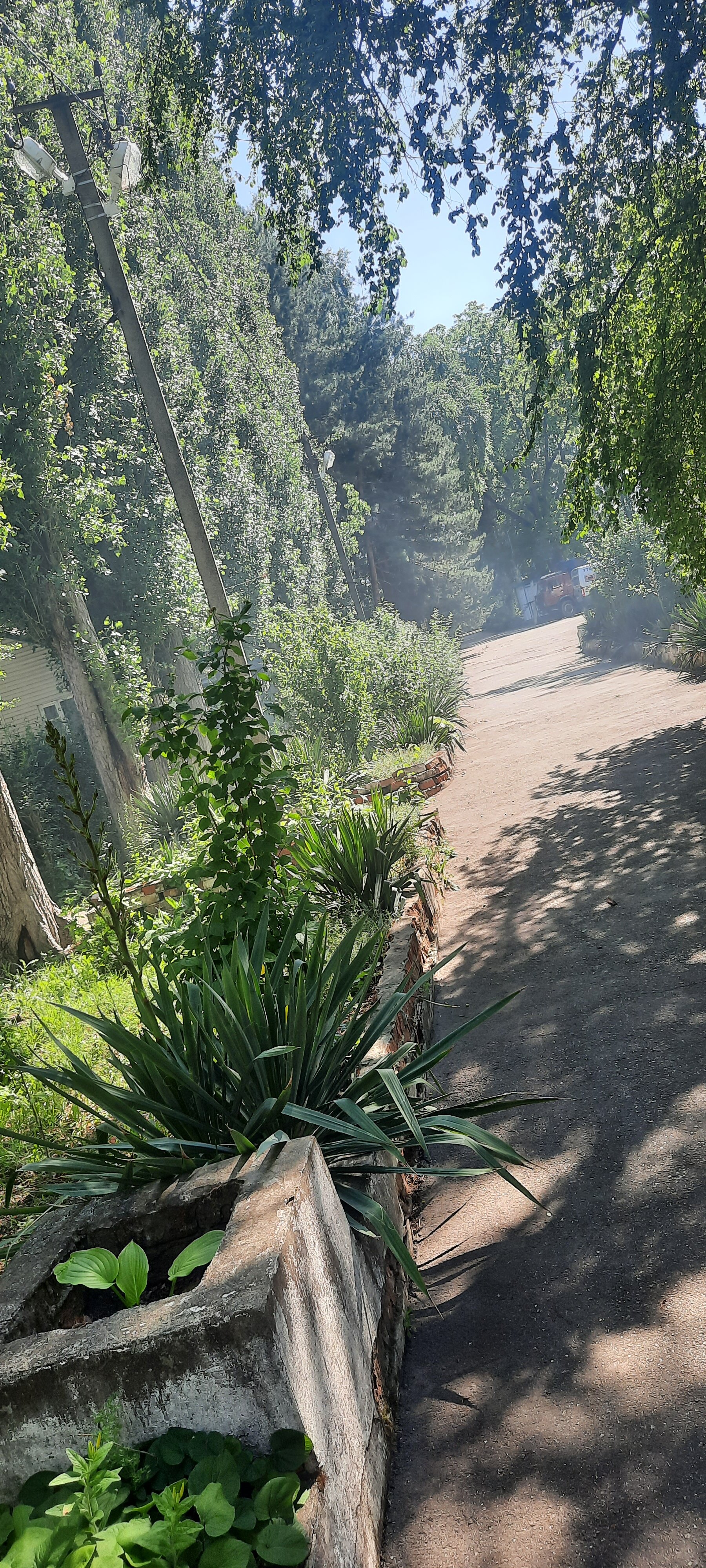 Фото Карасёвка