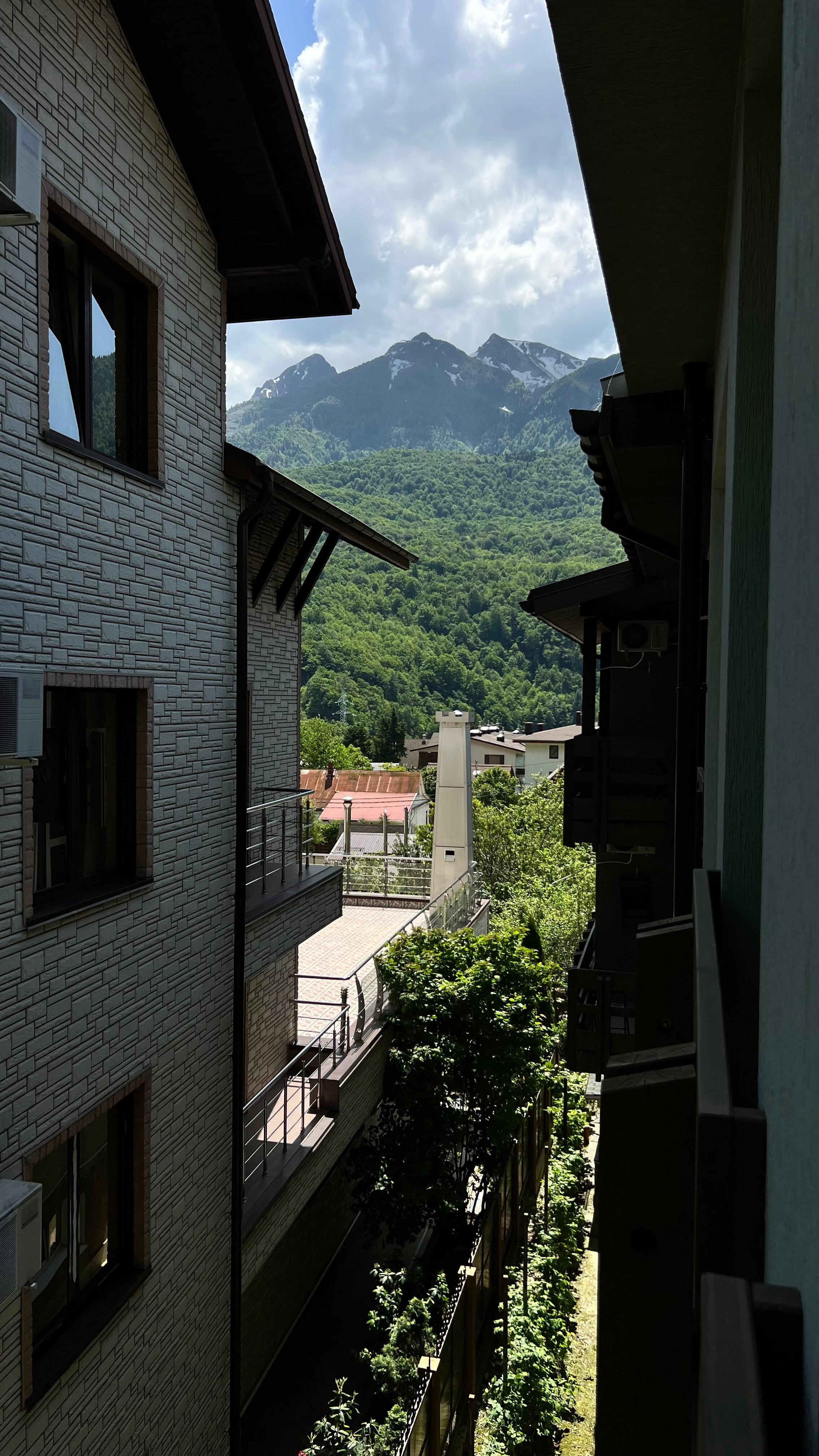 Фото Эльпида