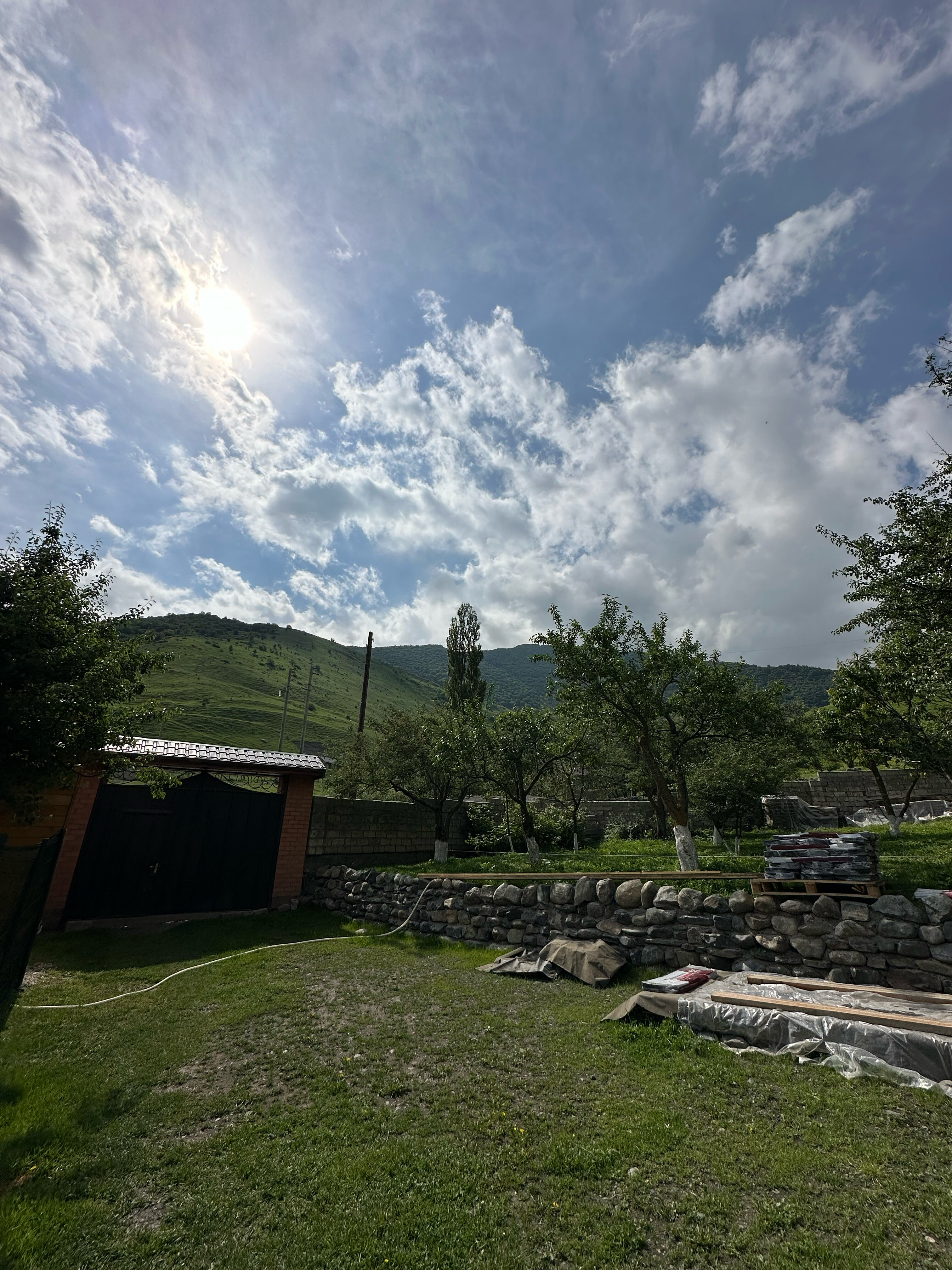 Фото Фруктовый Сад