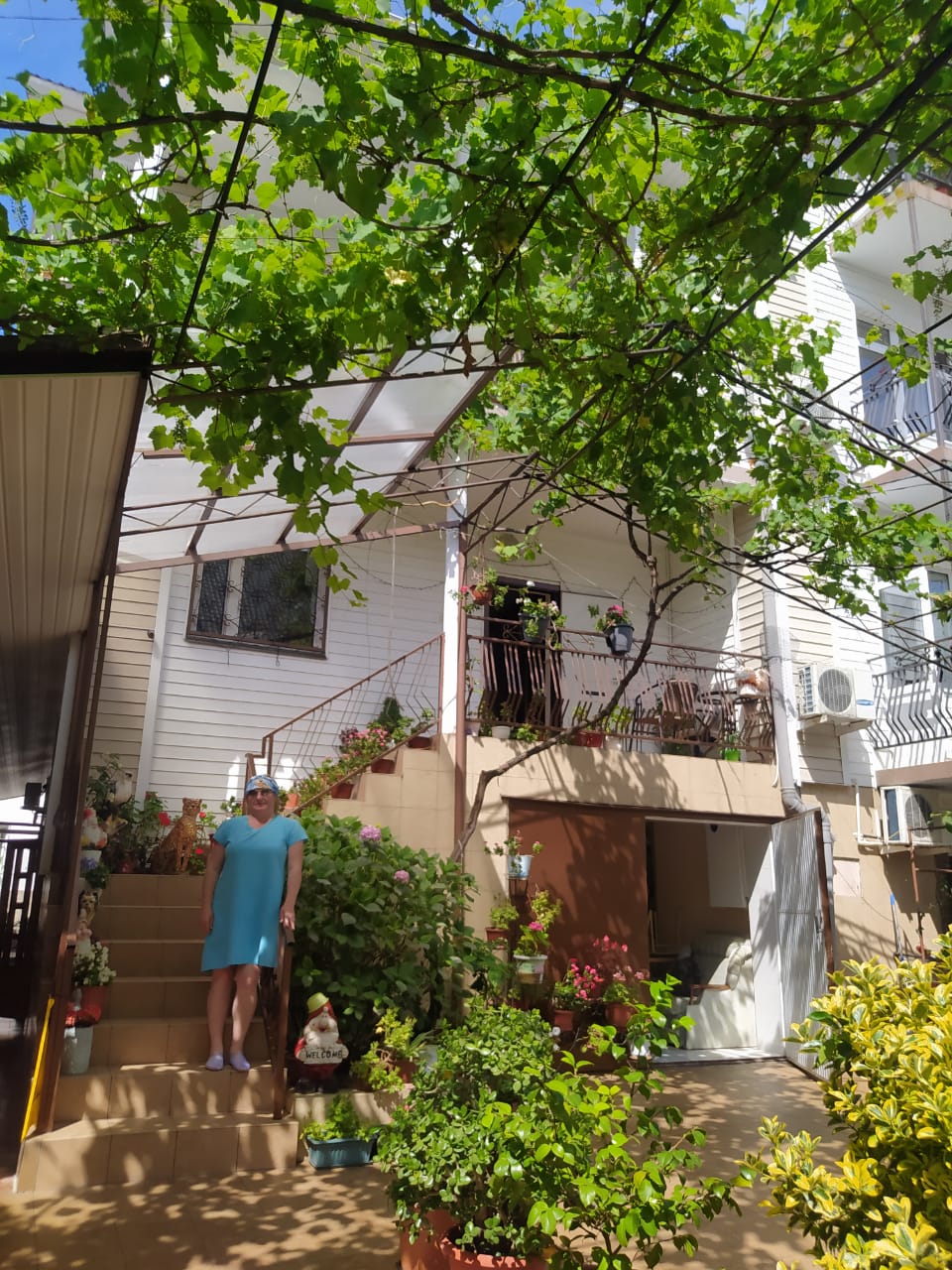 Фото Звёздочка