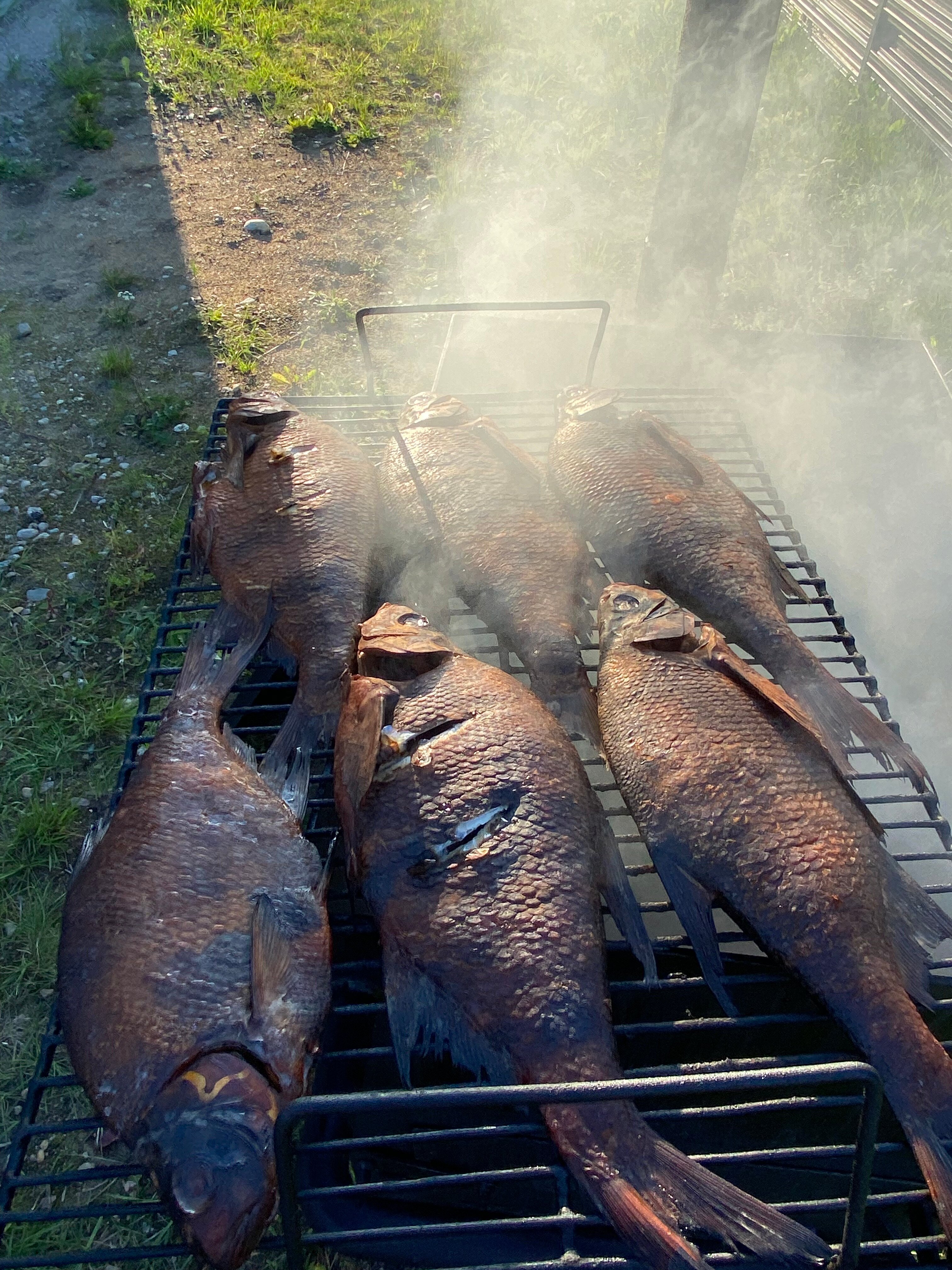 Фото Снетковское Озеро