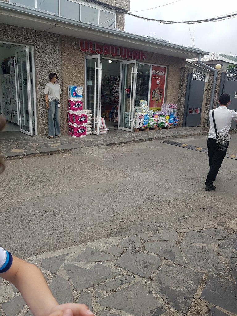 Household goods and chemicals shop Housewares, Vanadzor, photo