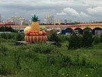 Караван (posyolok Prigorodny, Laskovaya ulitsa, 2А) ، سوق المزارعين