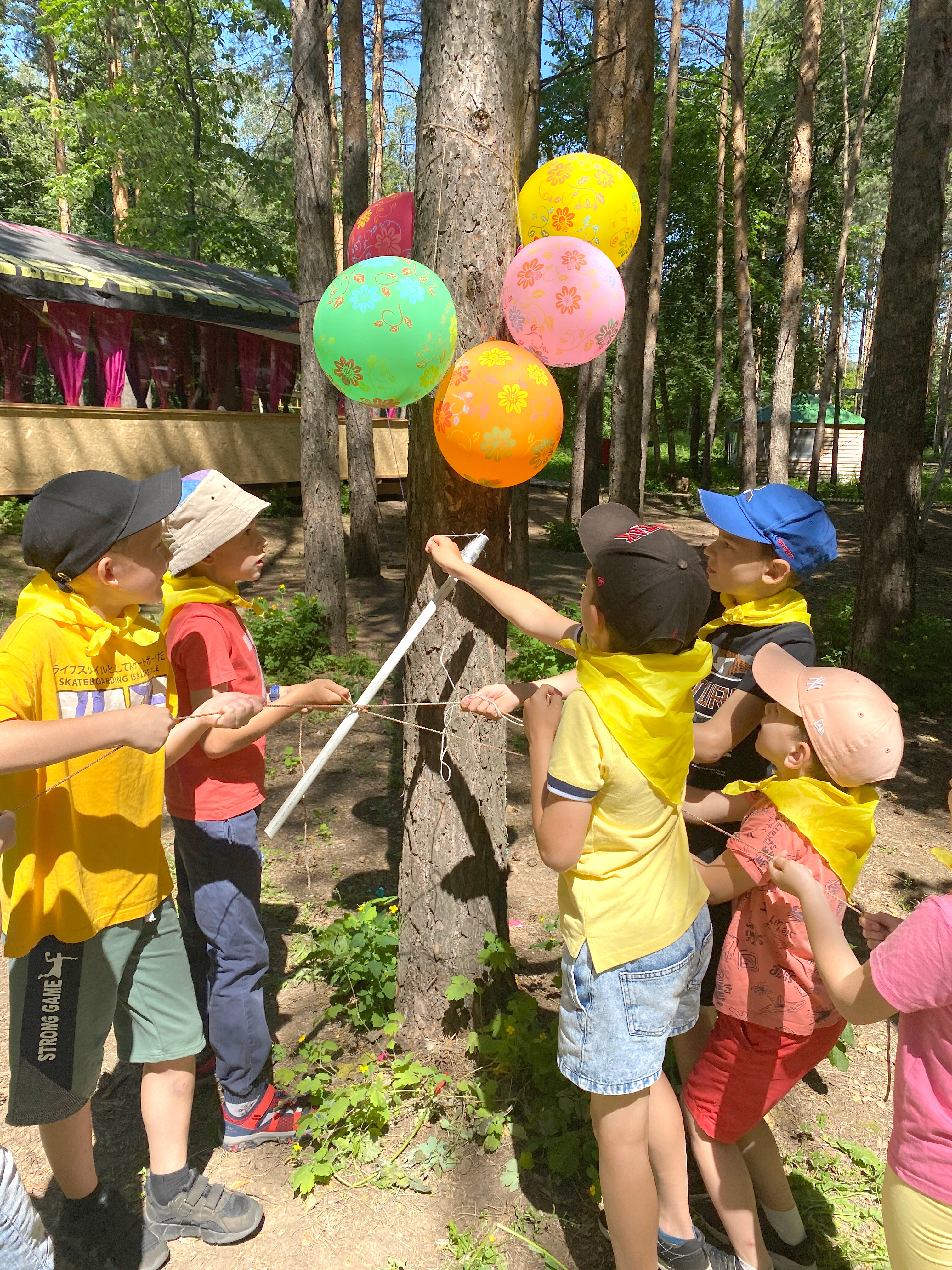 Фото Черёмушки