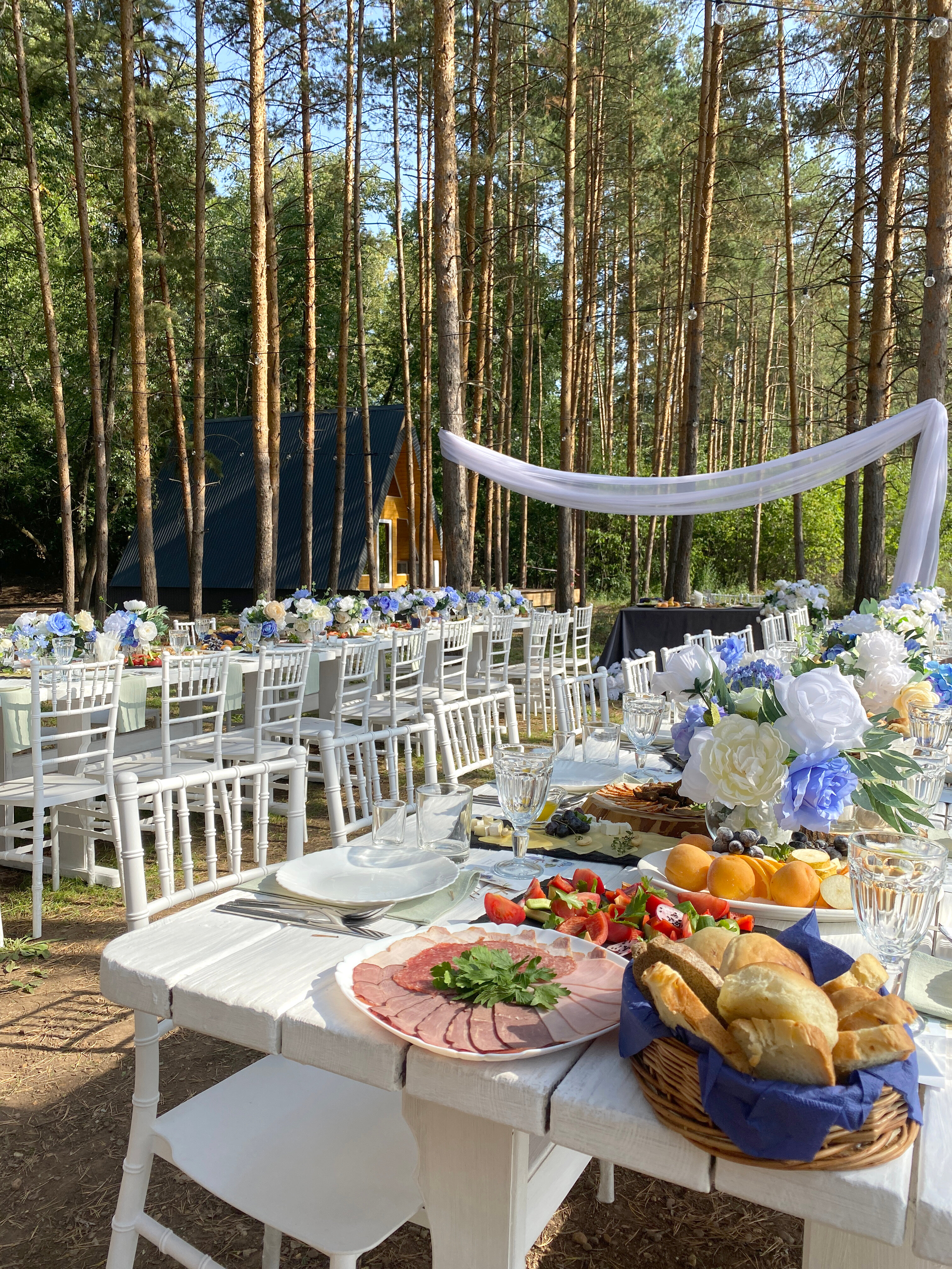 Фото Черёмушки