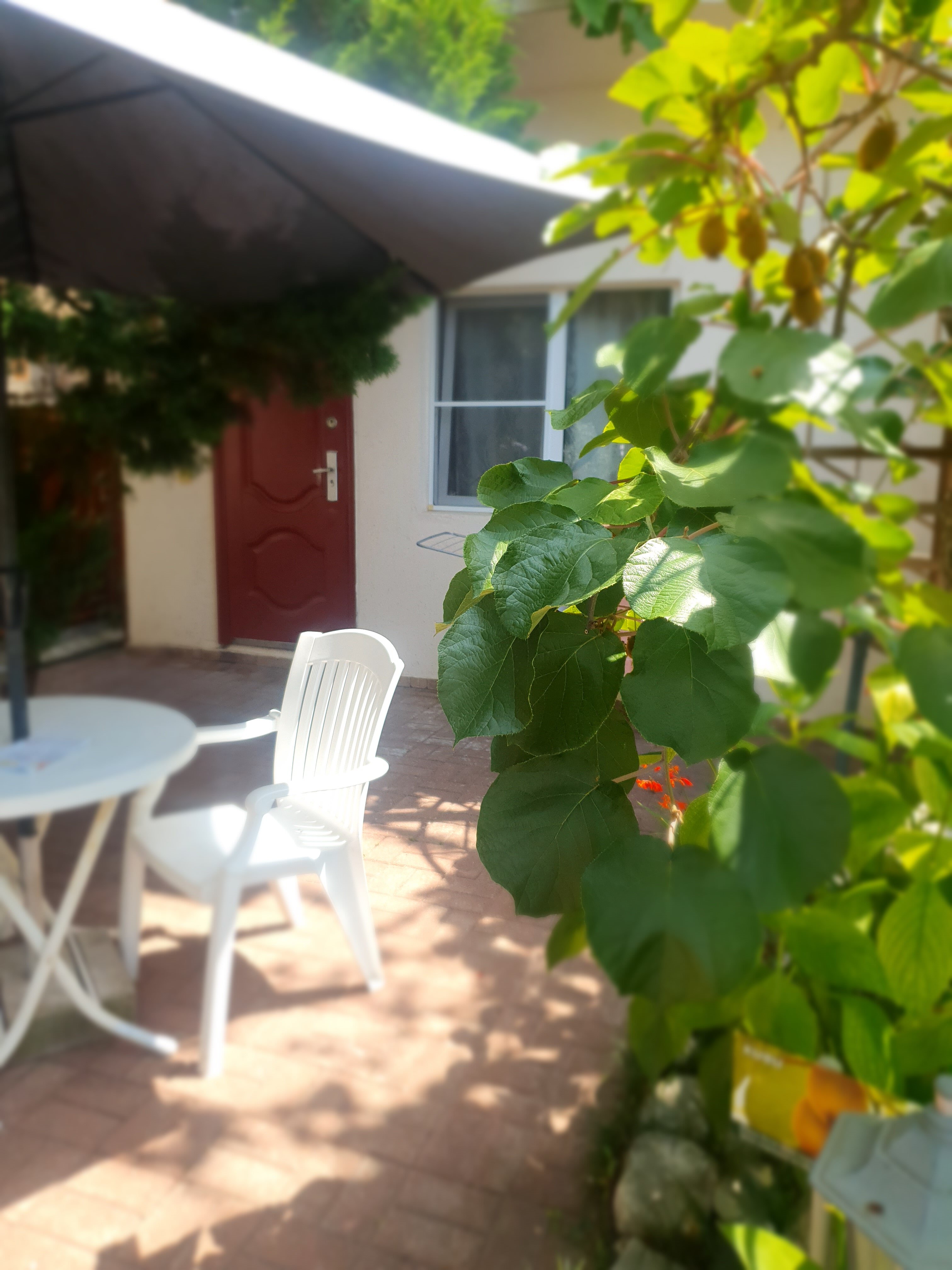 Фото Мини-гостиница Marco Club