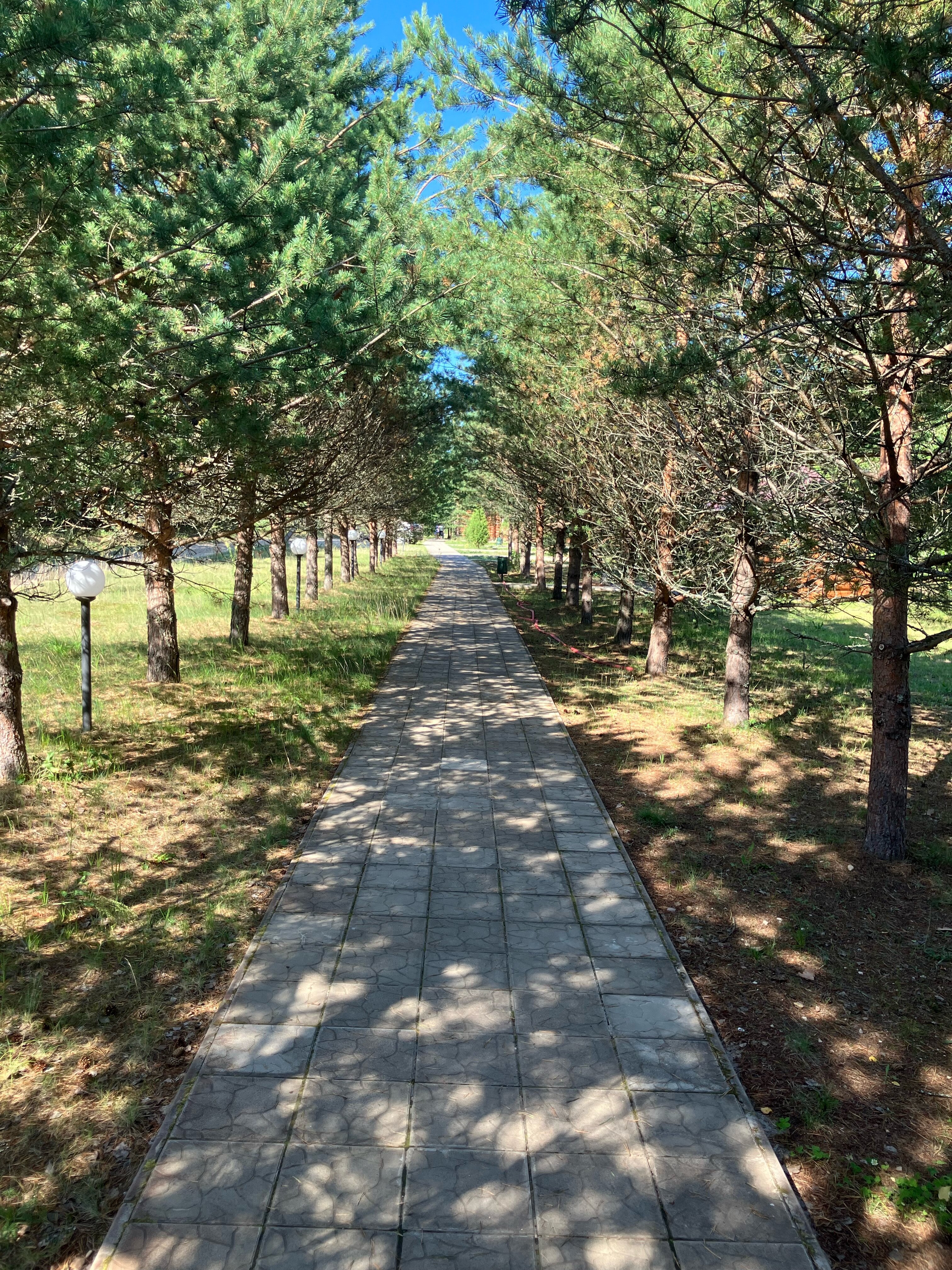 Фото База отдыха Заполек