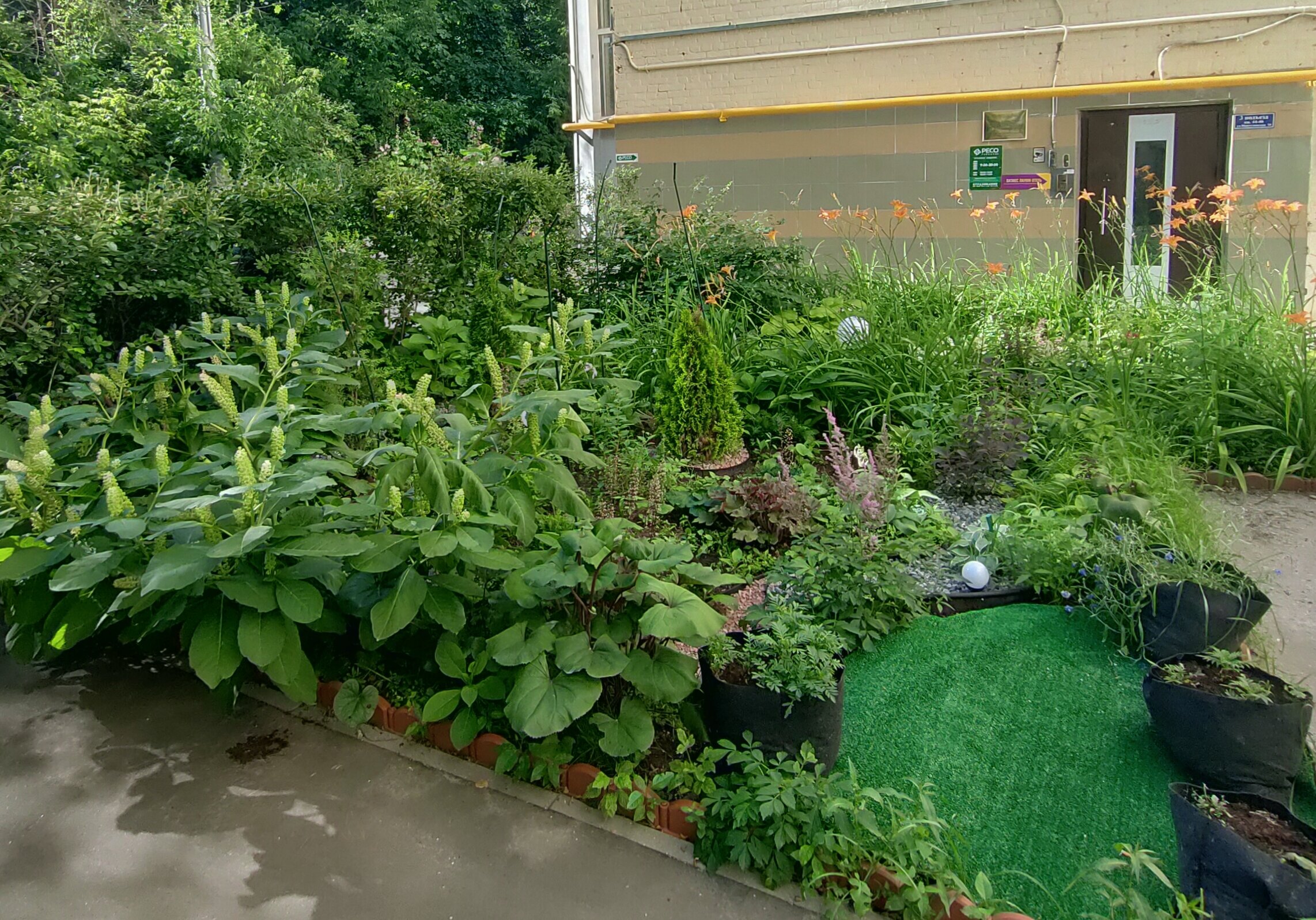 Фото Бизнес Лаунж Отель