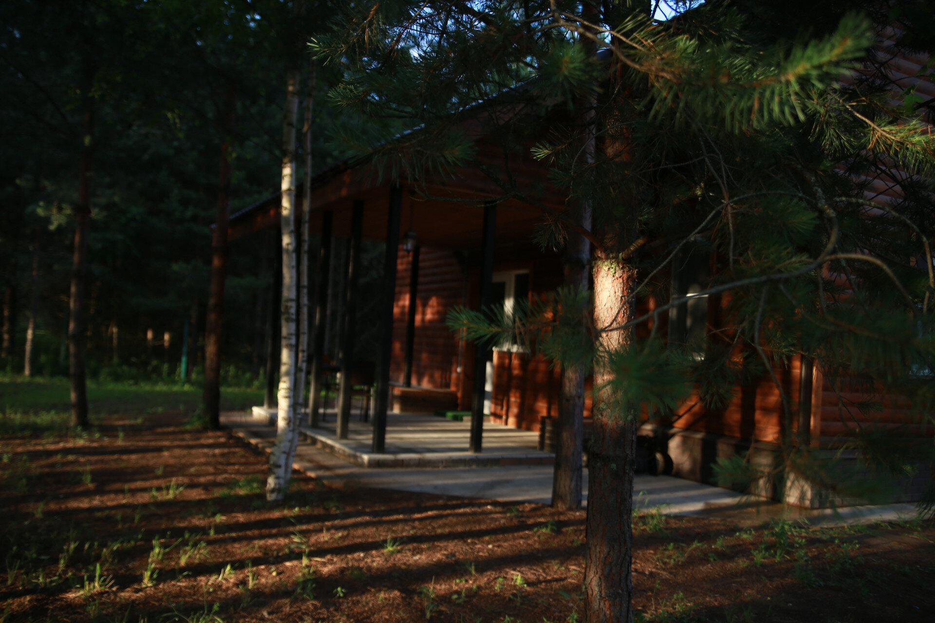 Фото Ссылканаозеро