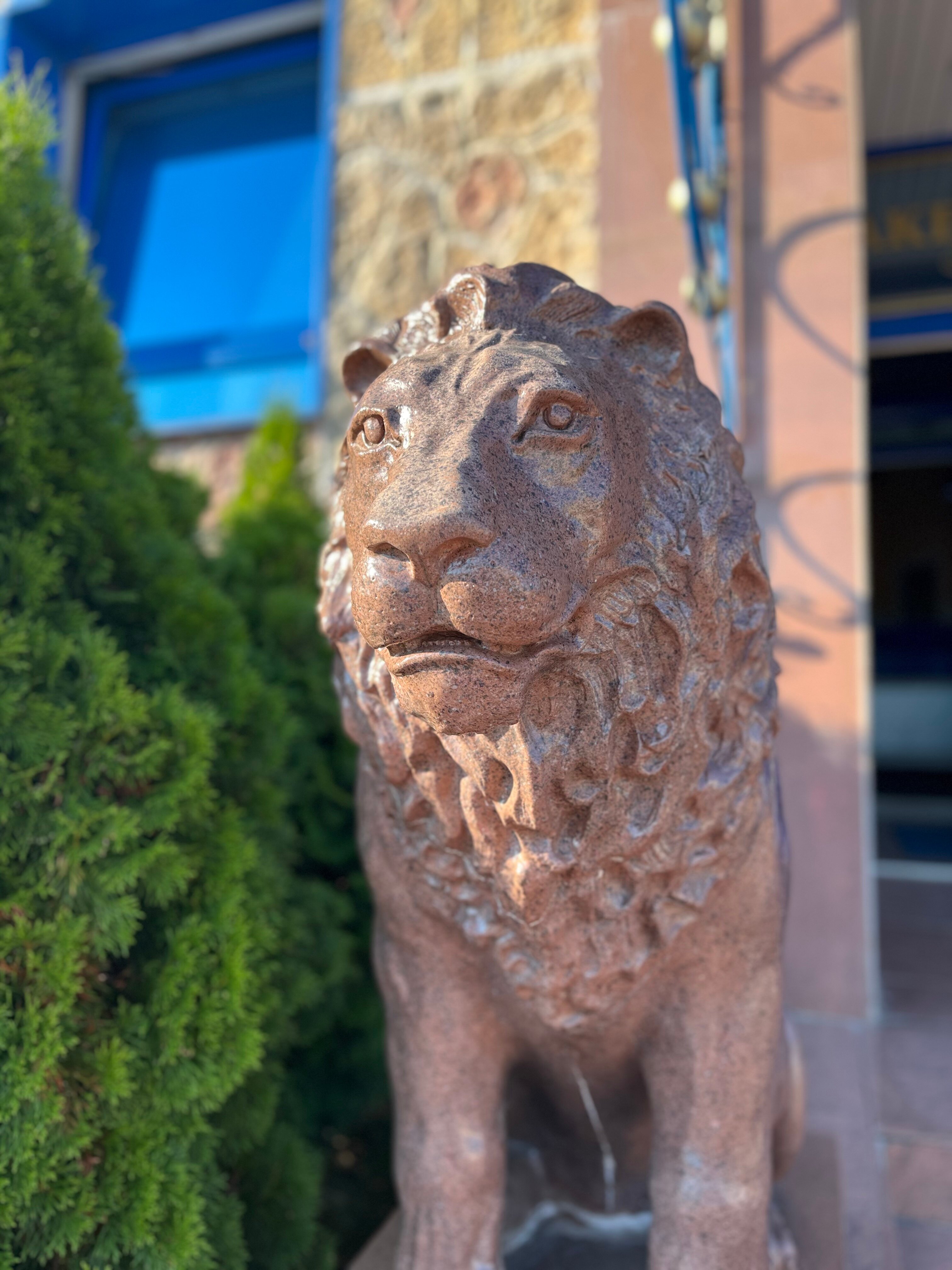 Фото Астрал