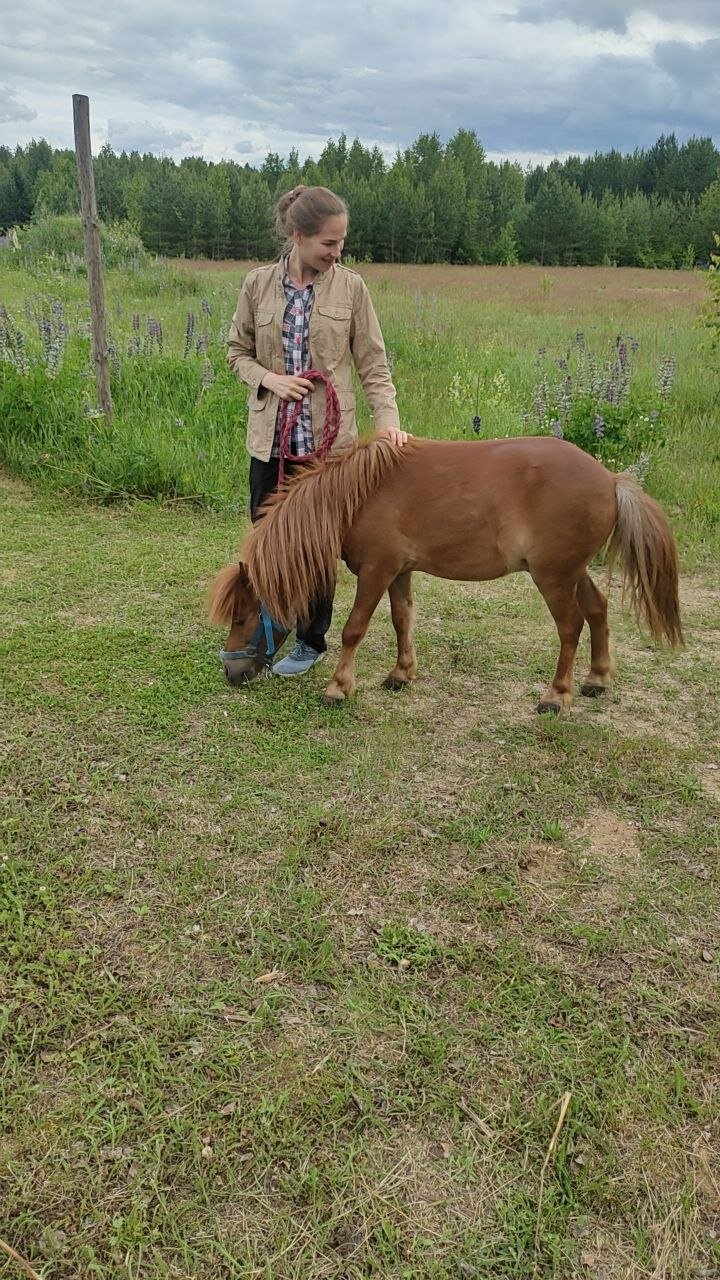Фото Сокольский Бор