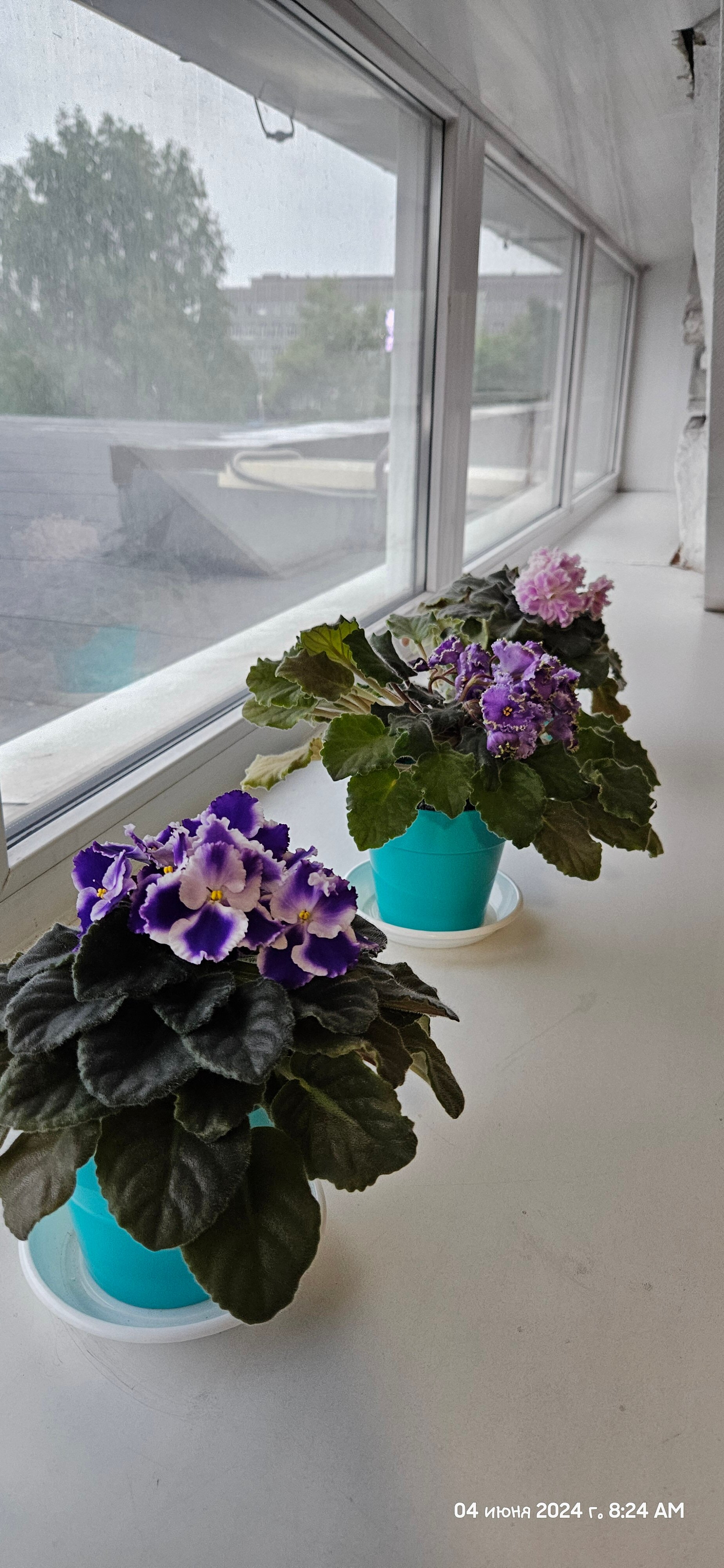 Фото Новокузнецкая