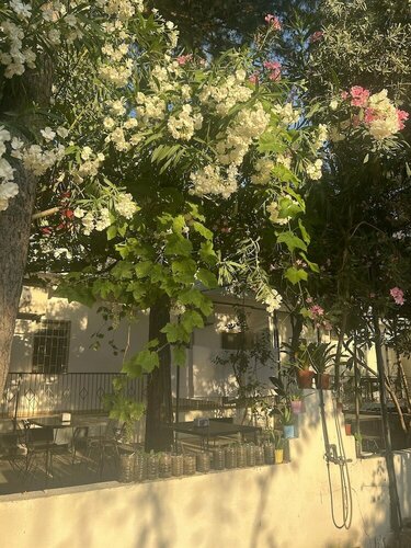 Гостиница Petunya Pansiyon в Фетхие