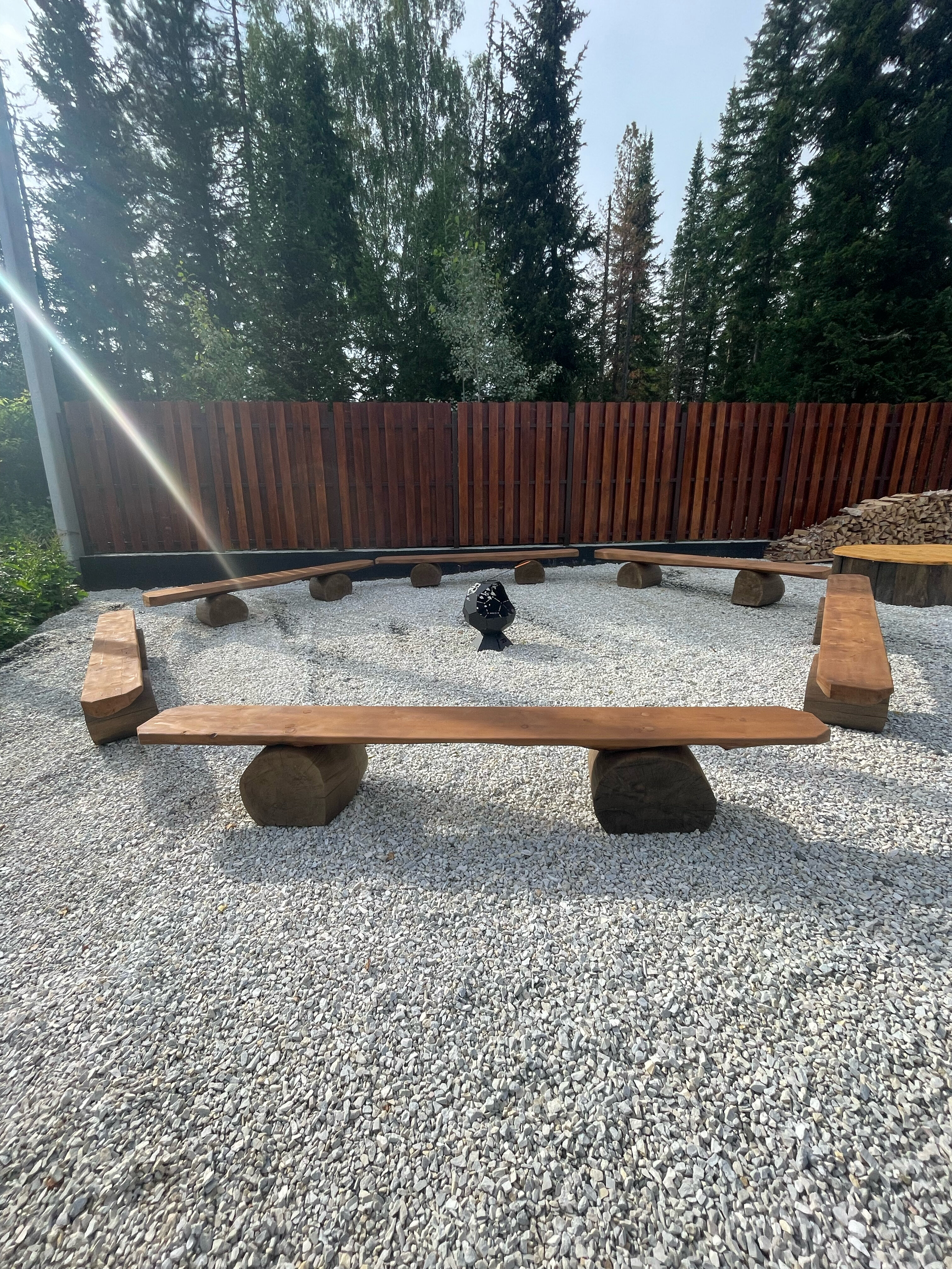 Фото Ромашка