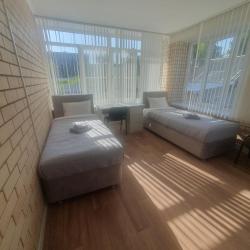 Фото Амигос