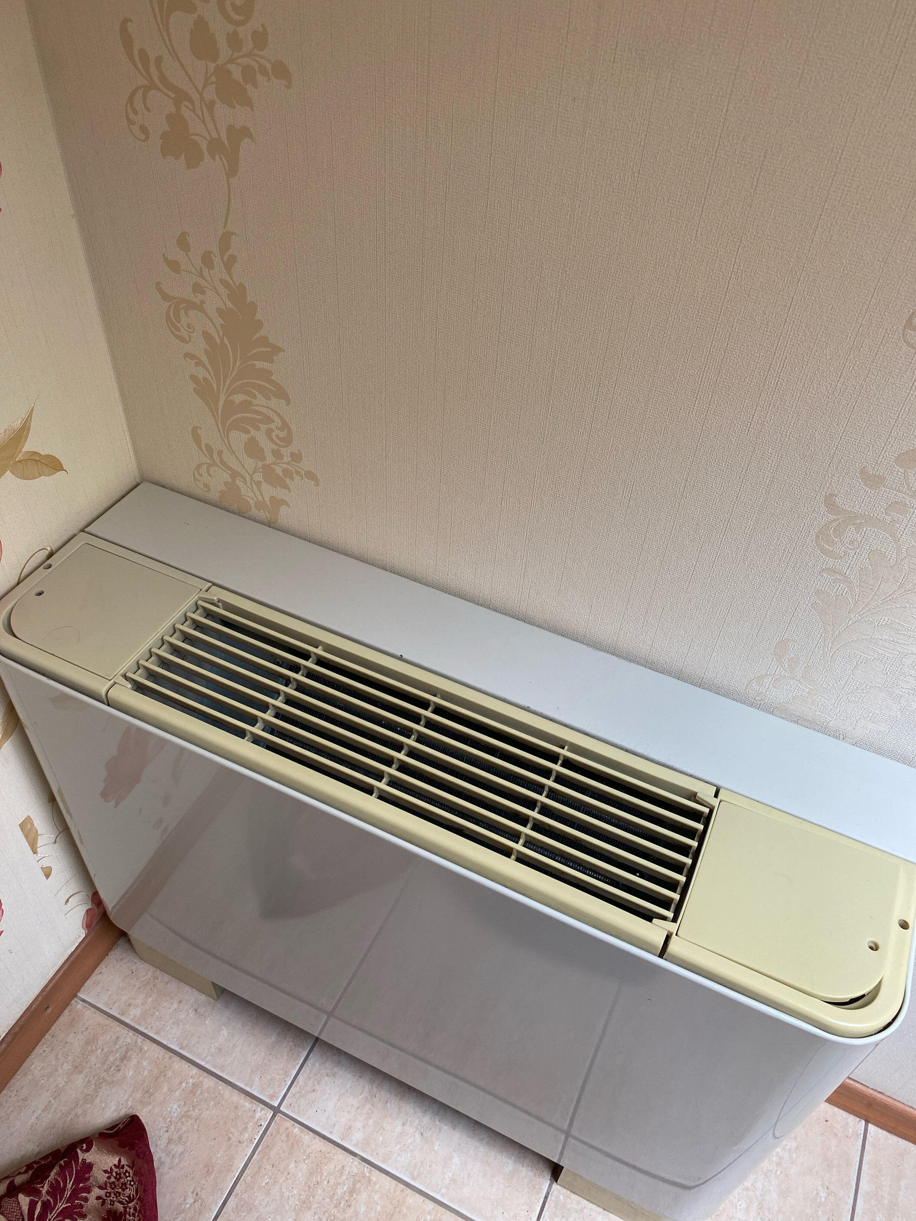 Фото Золотая рыбка