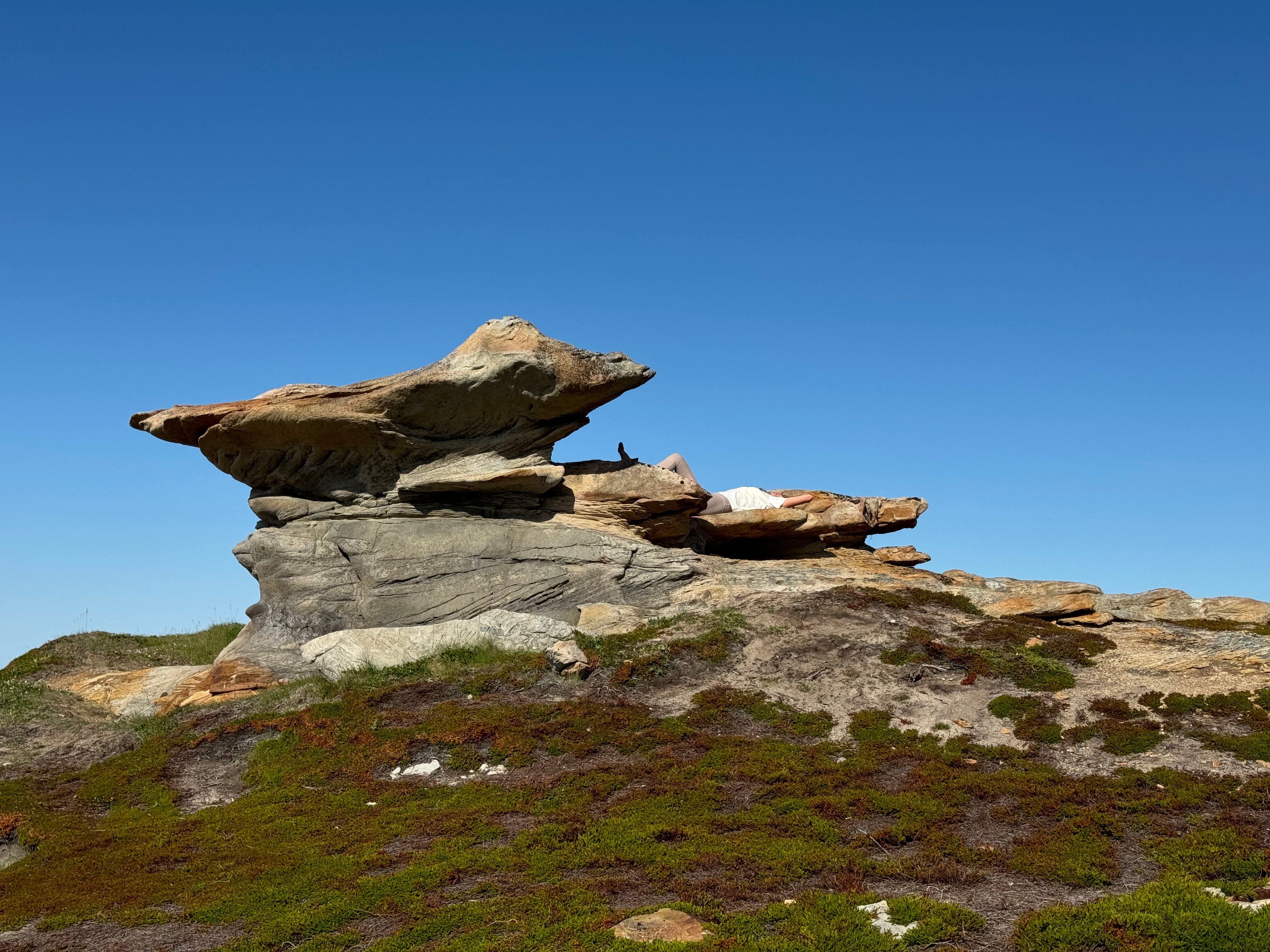 Фото Заполярный кордон