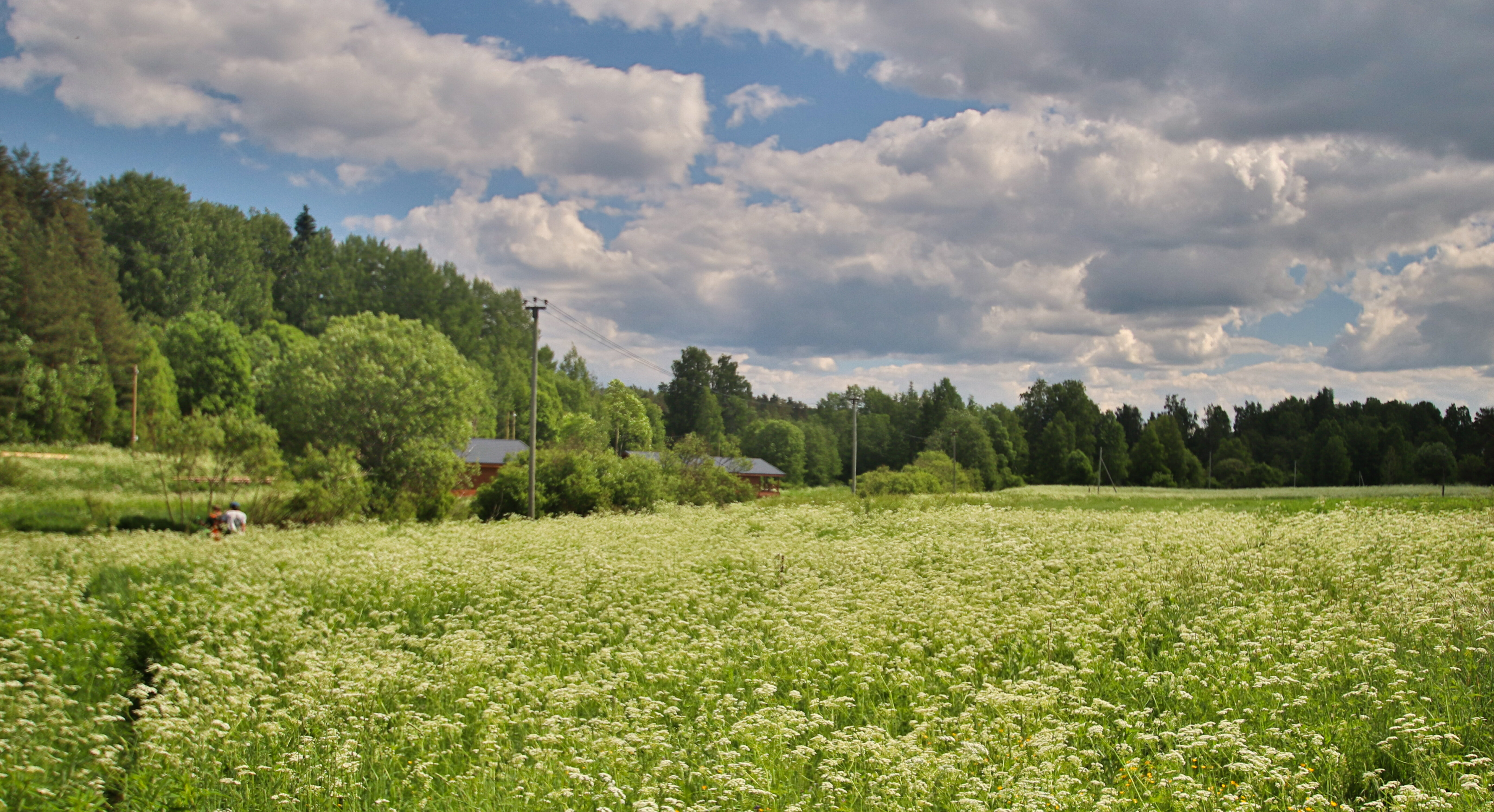 Фото Вуокса Хоум
