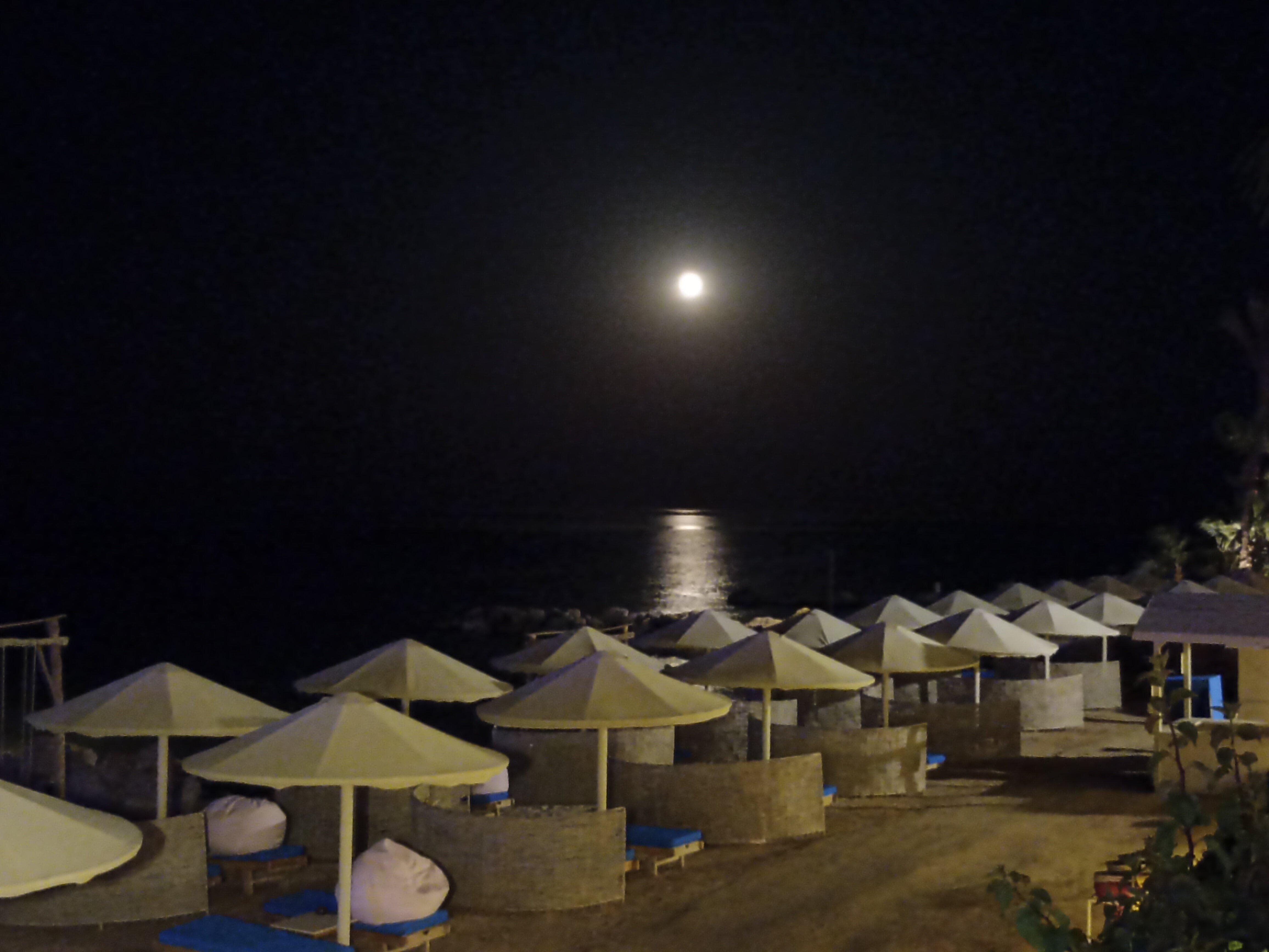 Фото Пикальбатрос Цитадель Резорт