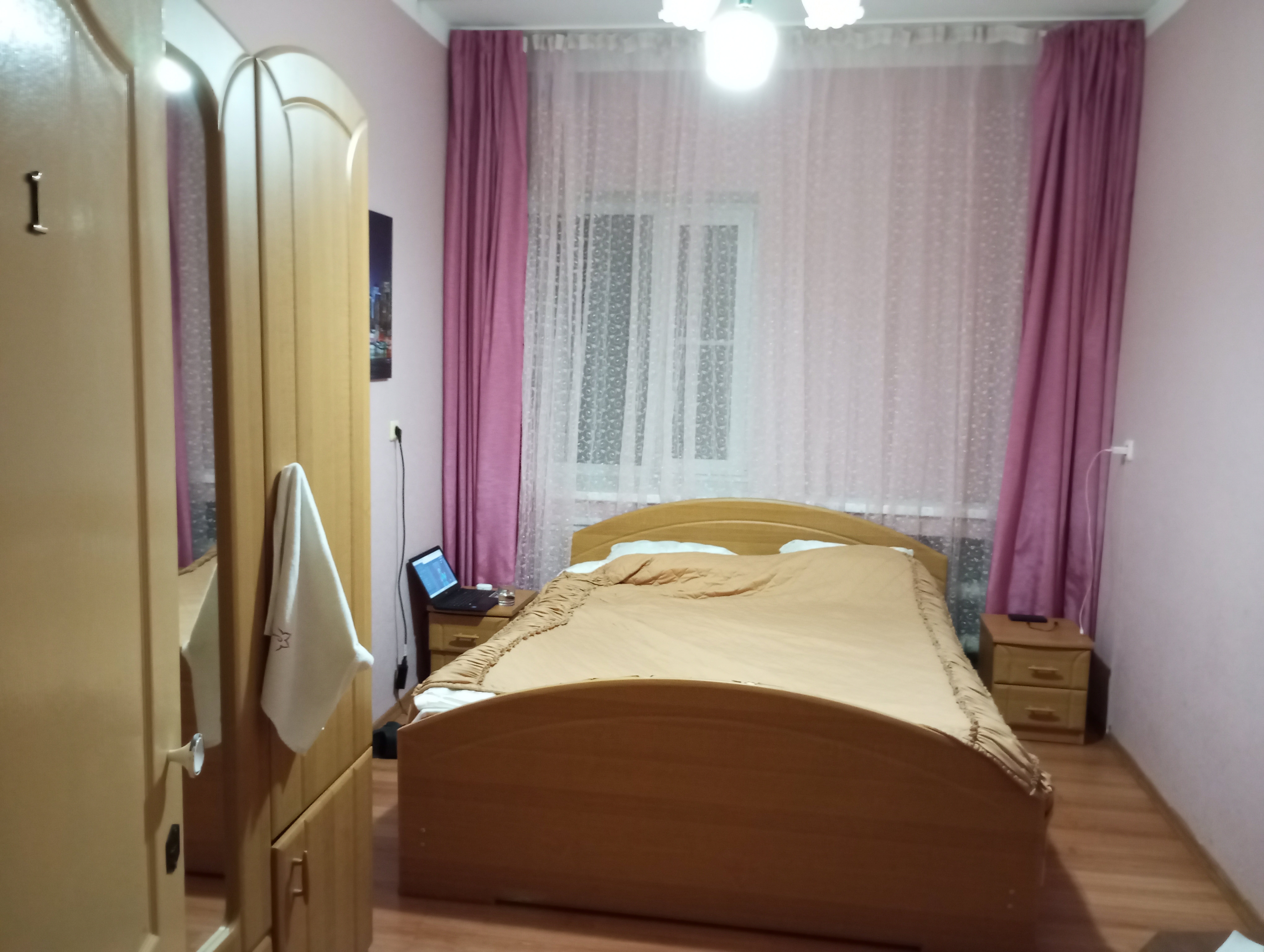 Фото Камелия