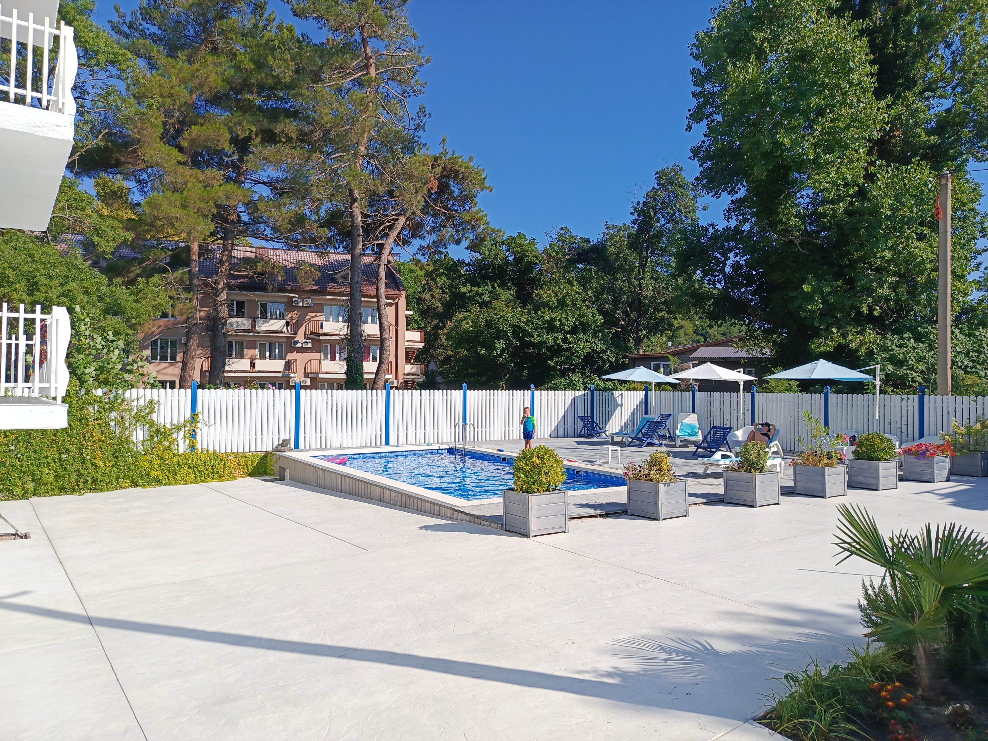 Фото Алиса, привет!