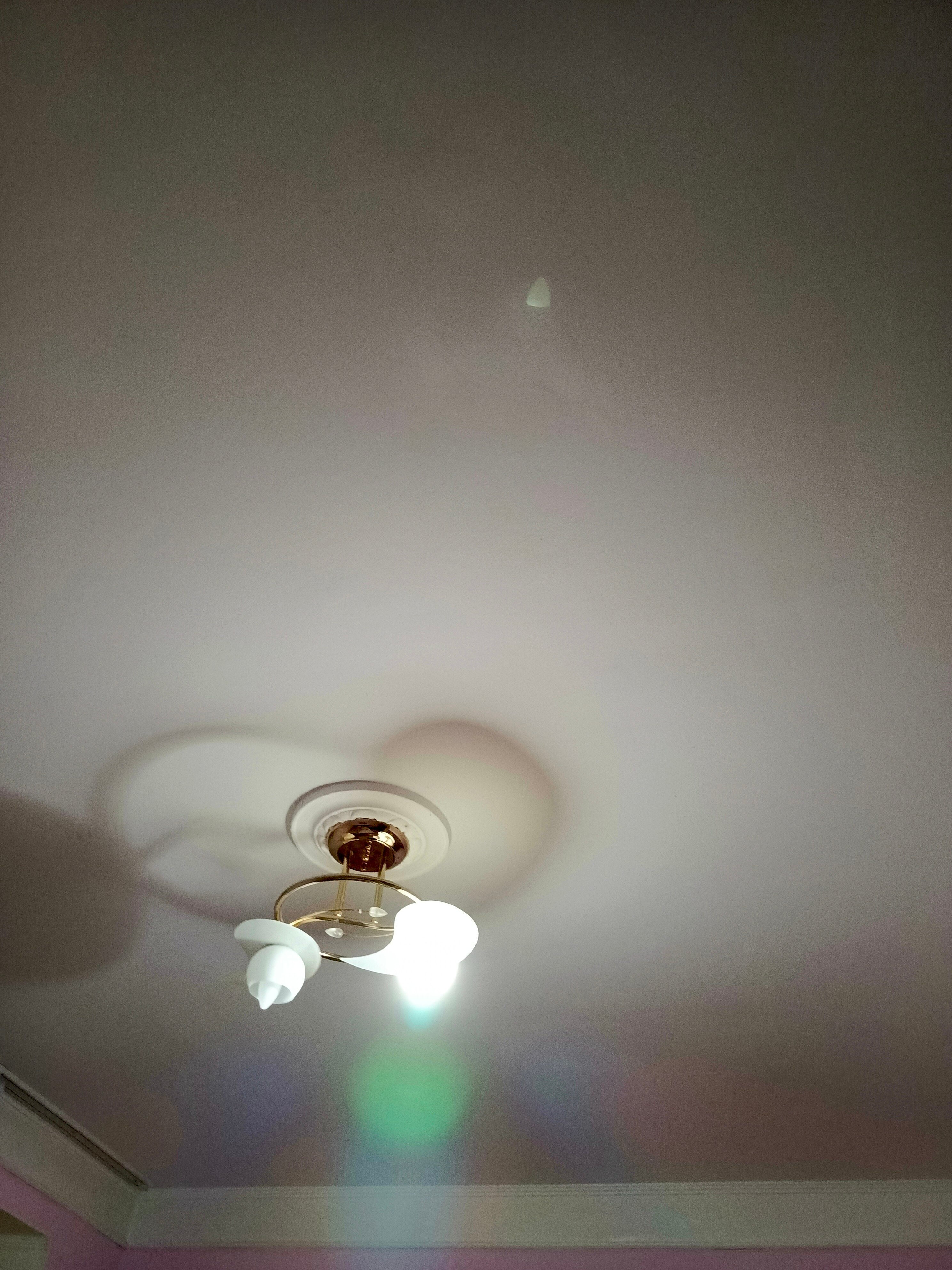 Фото Приятный отдых