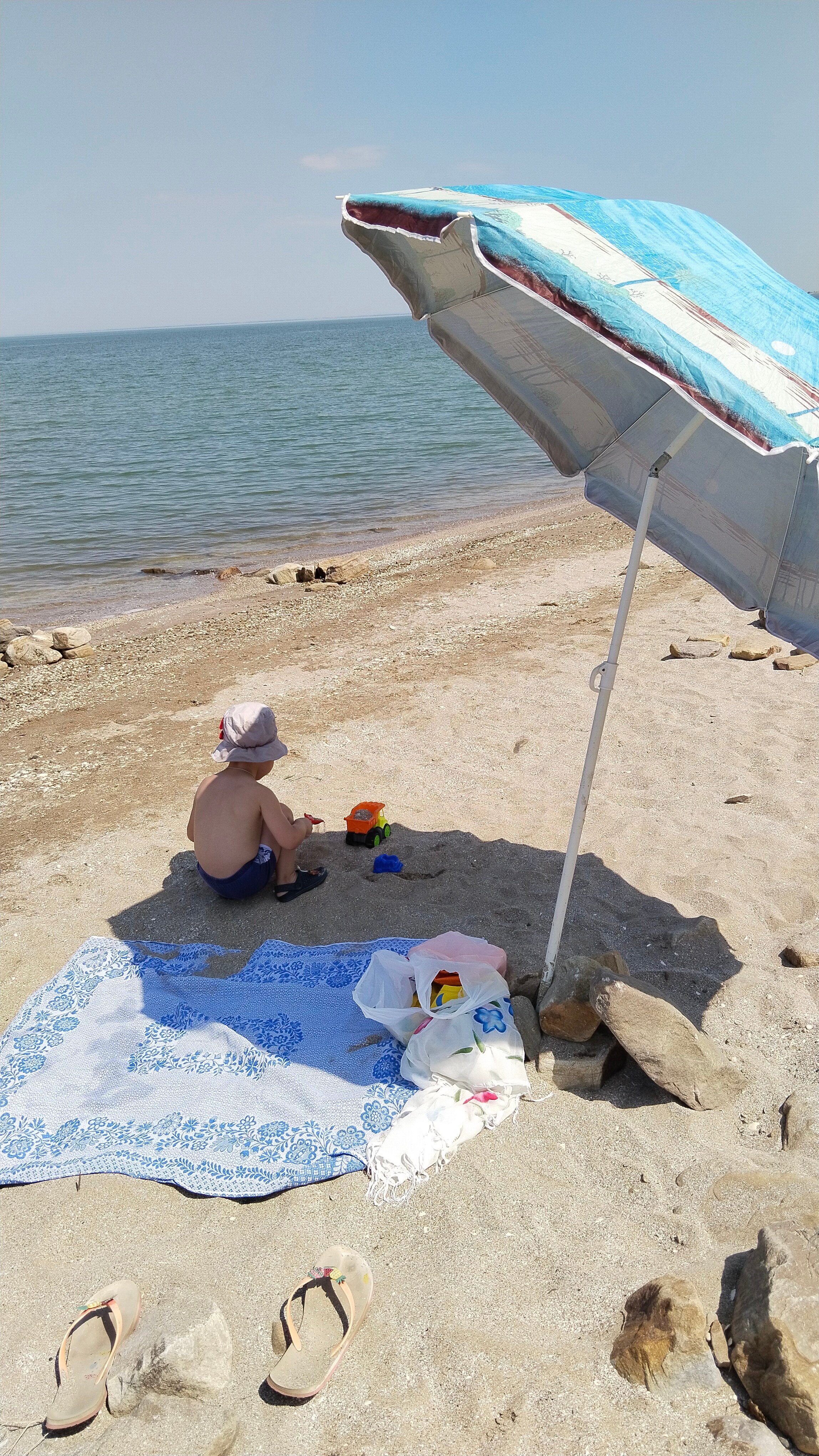 Фото 38 Попугаев