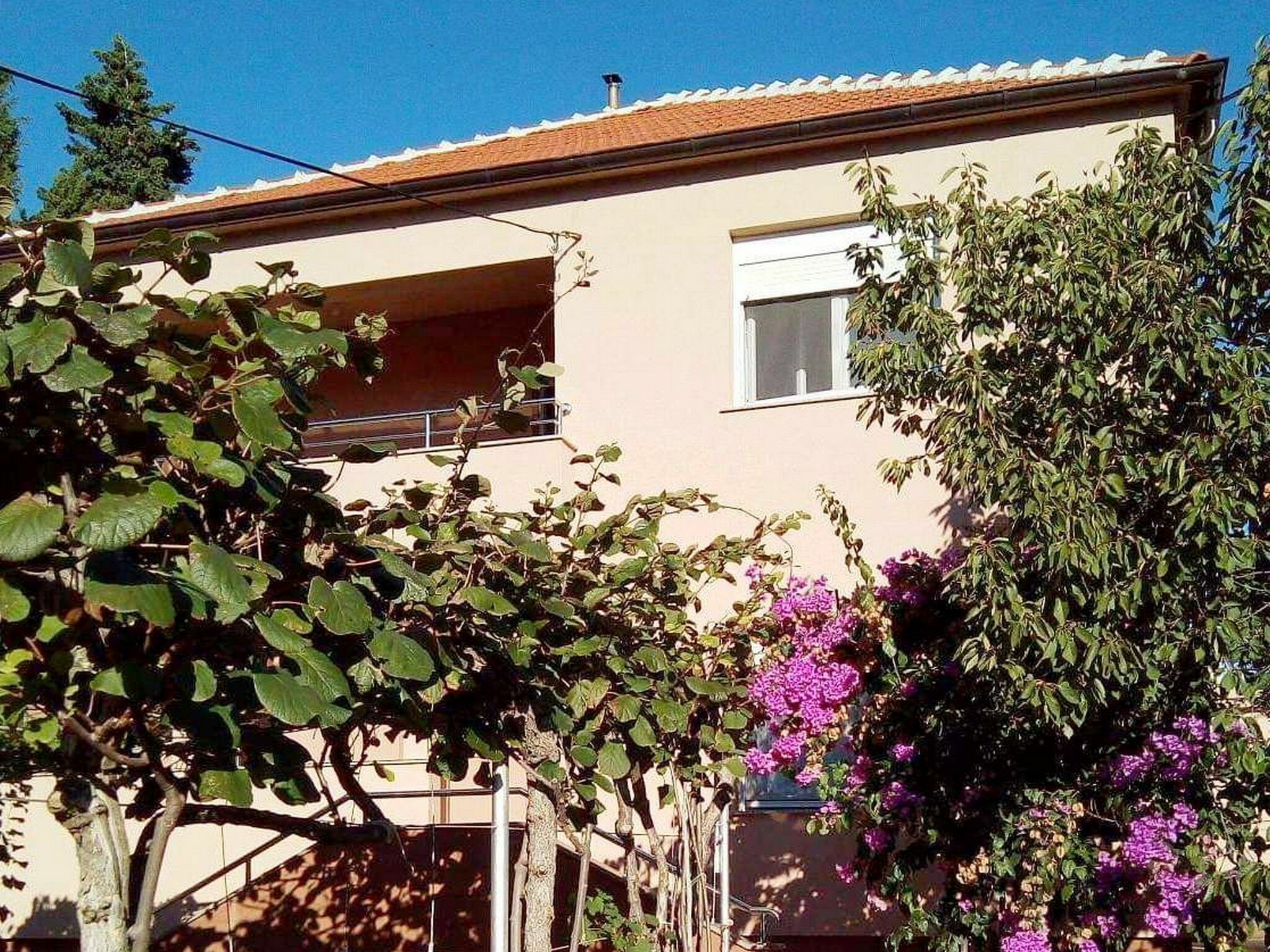 Фото Apartments Danijel