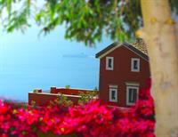 Фото Palazzo Pascal