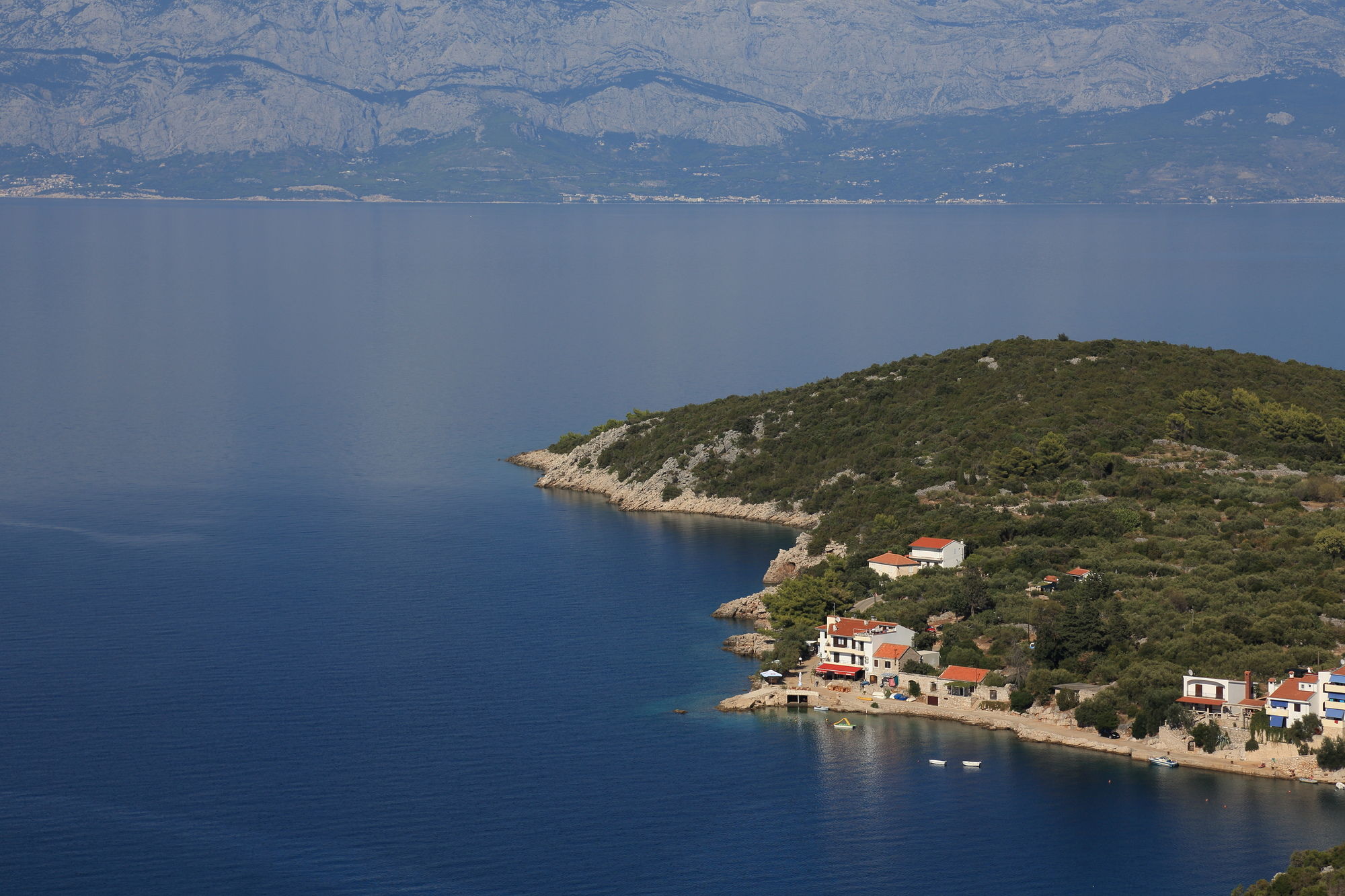 Фото Hotel Timun