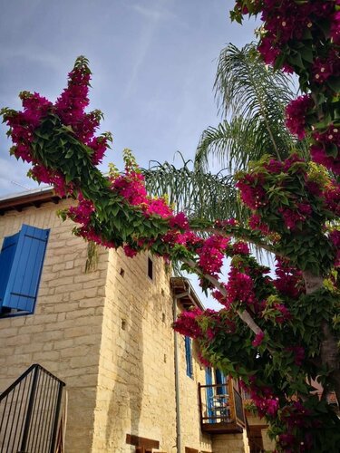 Гостиница Nikis House в Лимассоле