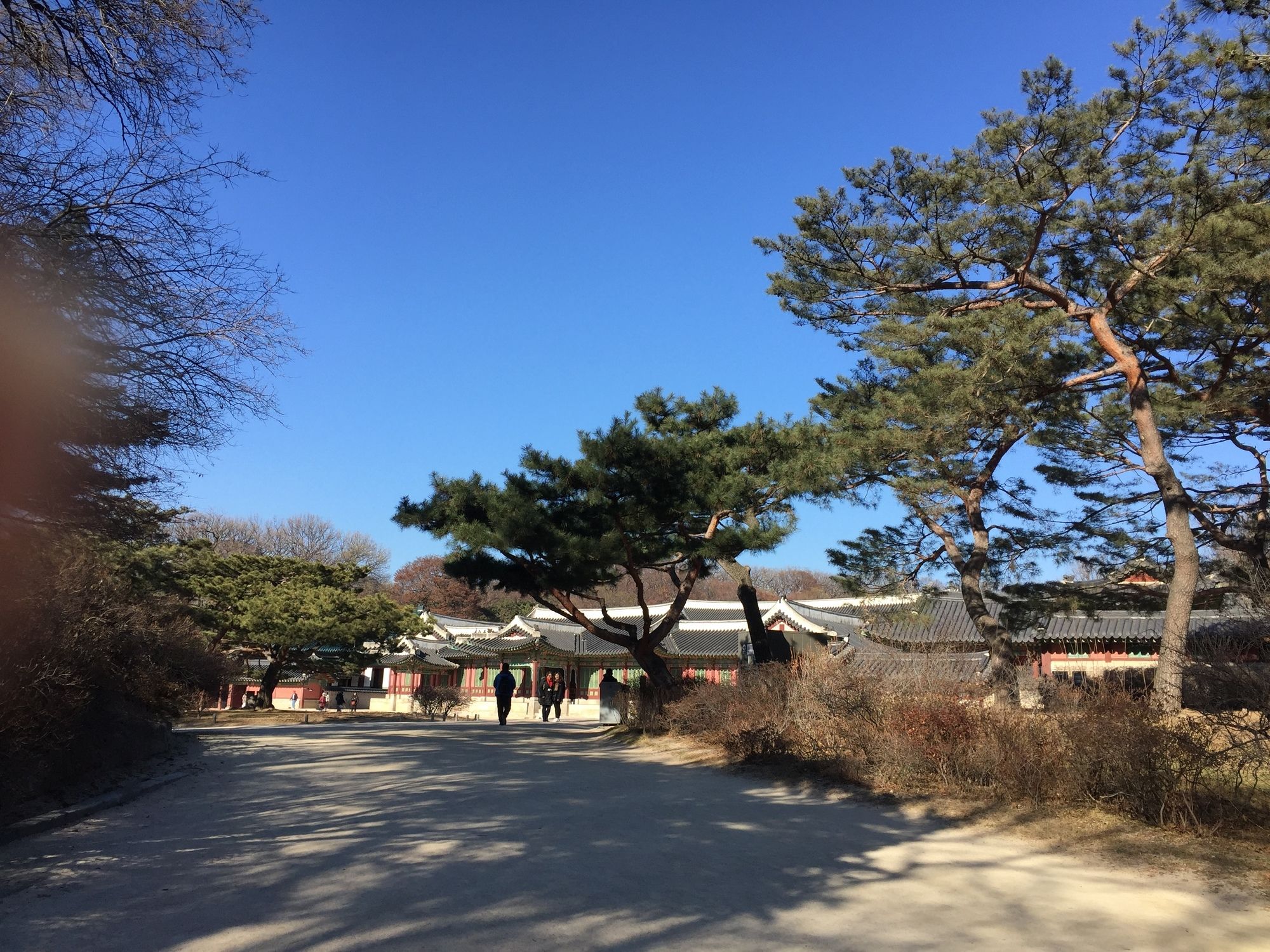 Фото Mon Oncle a Seoul