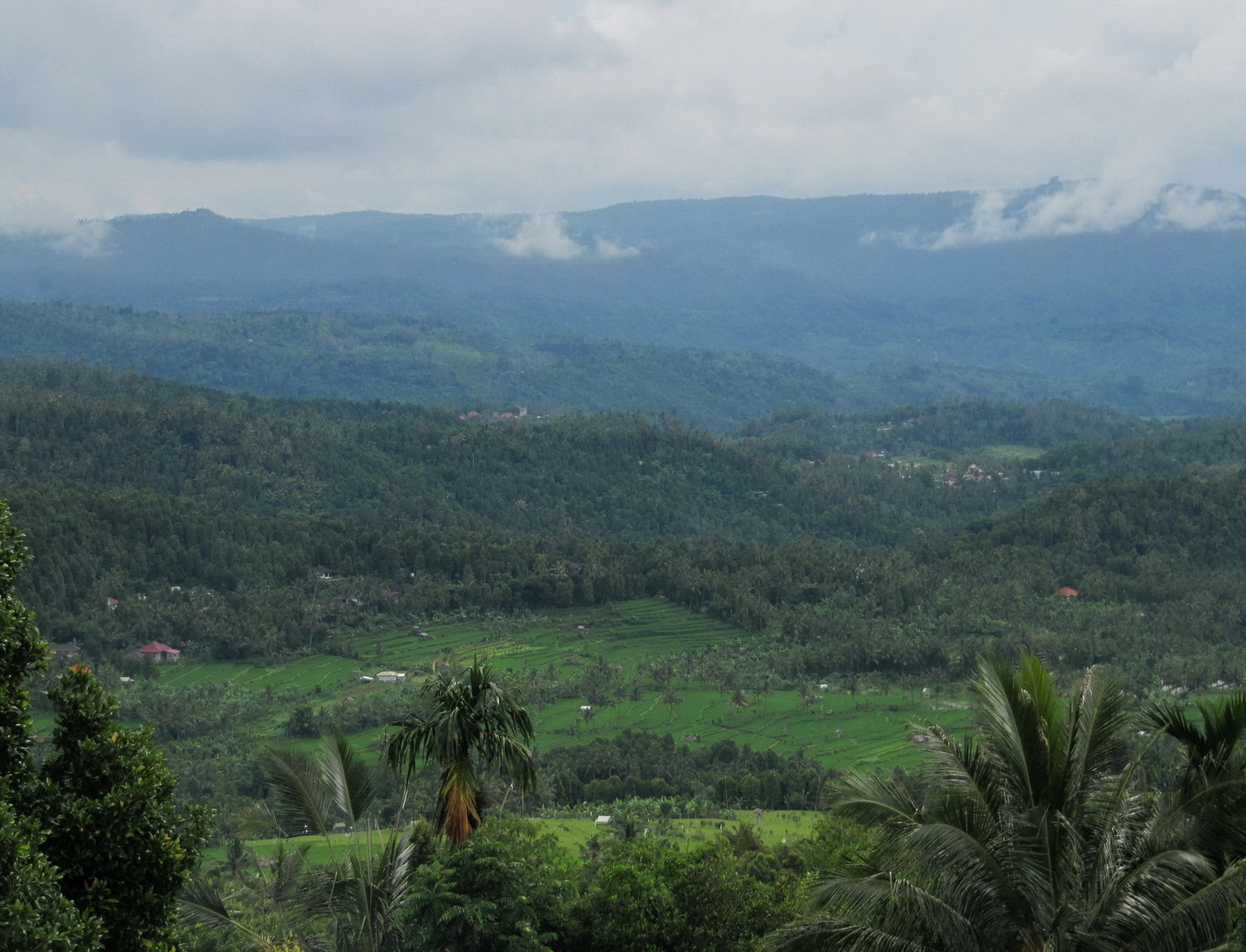 Фото Karang Sari Guesthouse & Restaurant