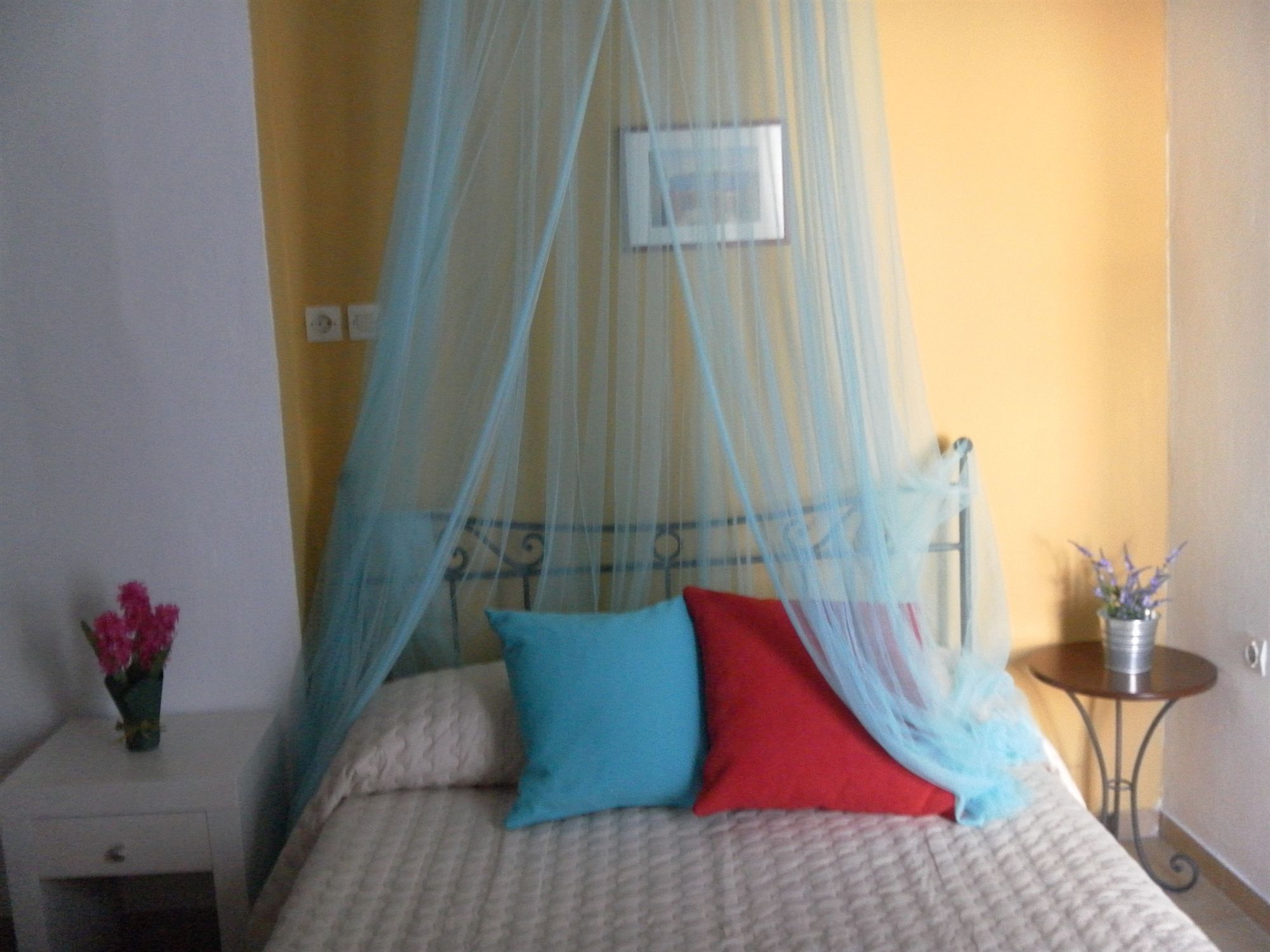 Фото Summer Time