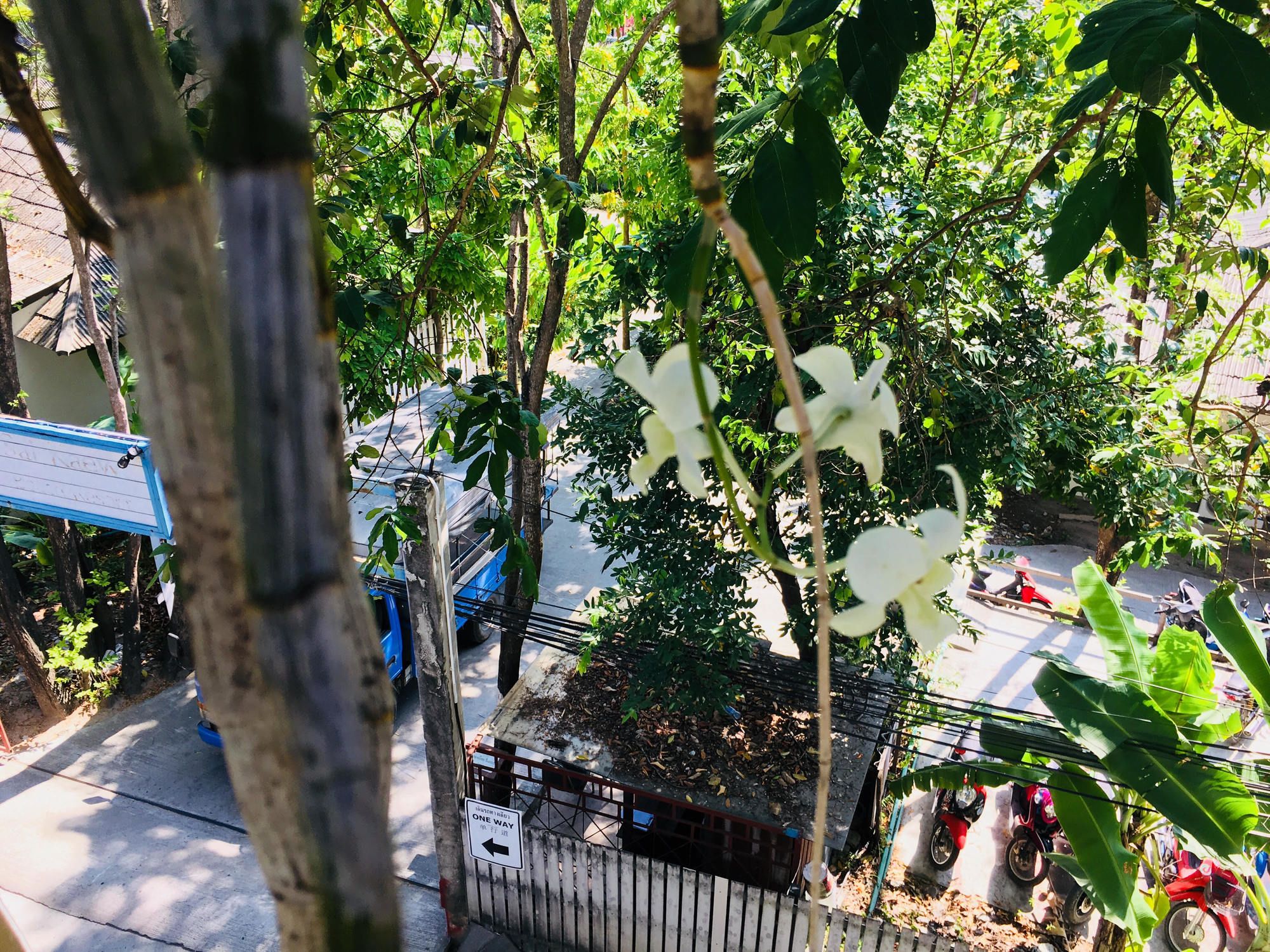 Фото Miss Hong House