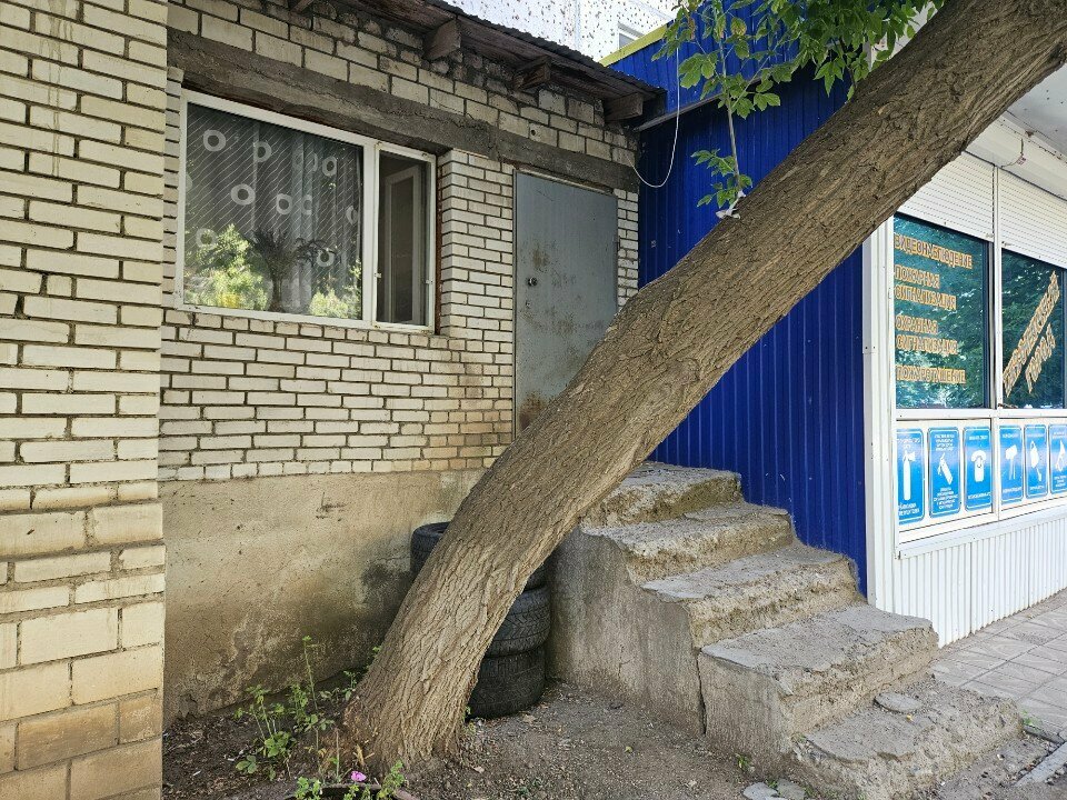 Greengrocery Fruits and Vegetables, Uralsk, photo