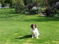 Фото Broadlands Gate