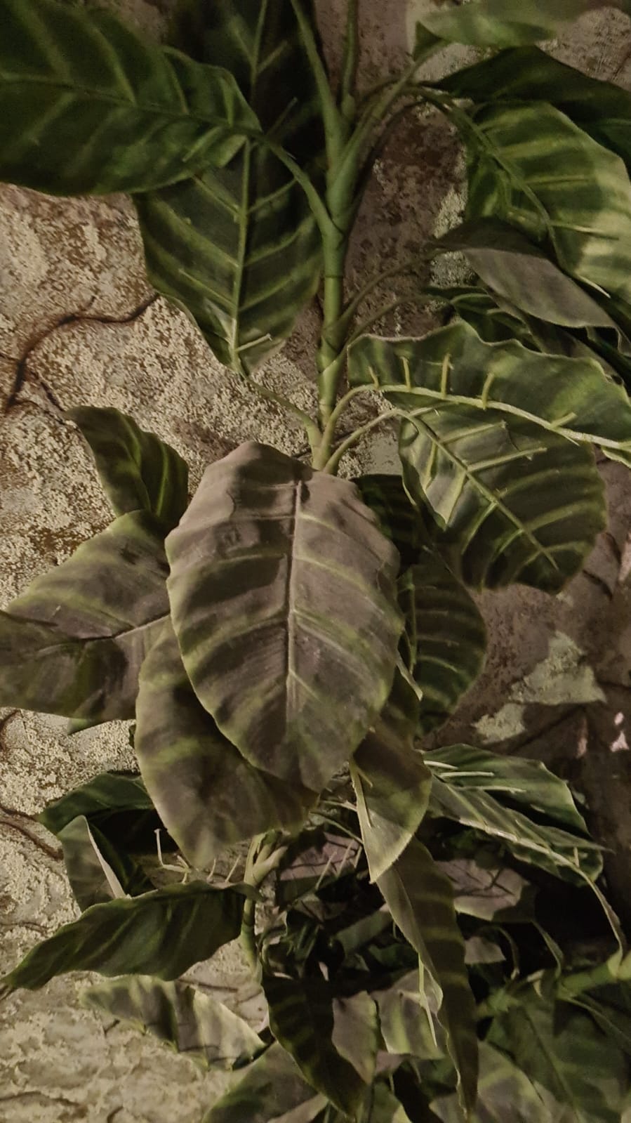 Фото Коттедж Зареченский