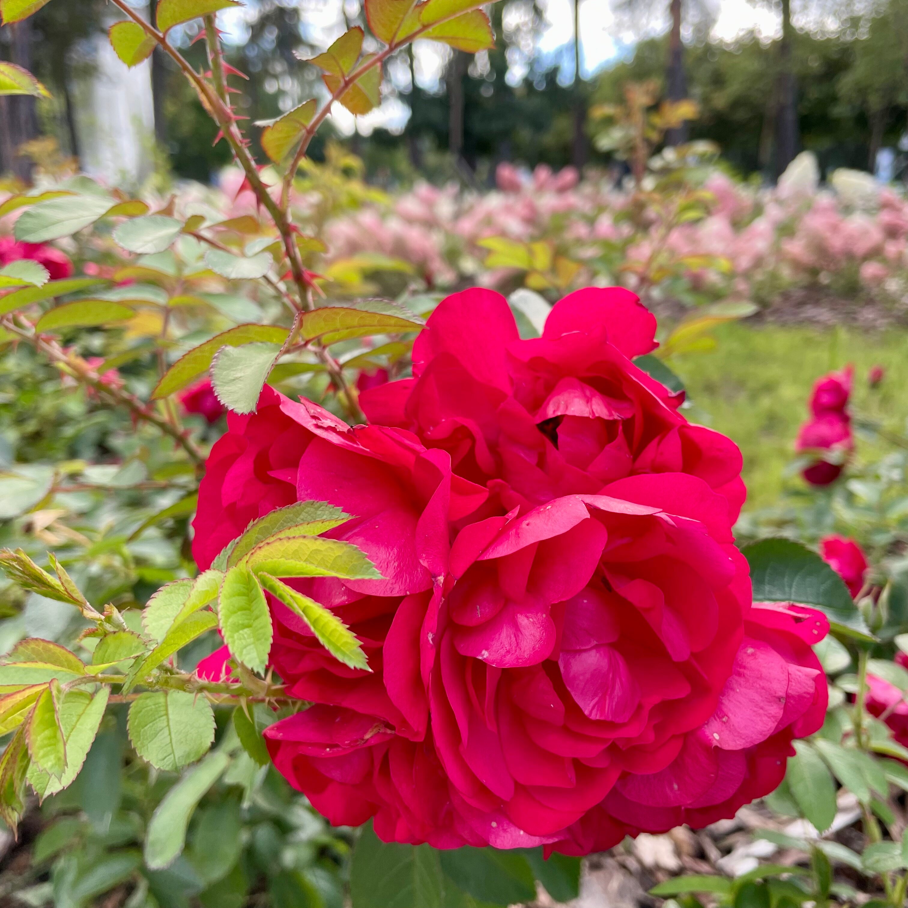Фото Гостиница Ленинградская АЭС-Авто