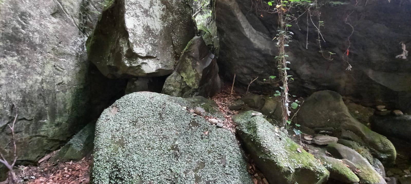 Фото Глобус