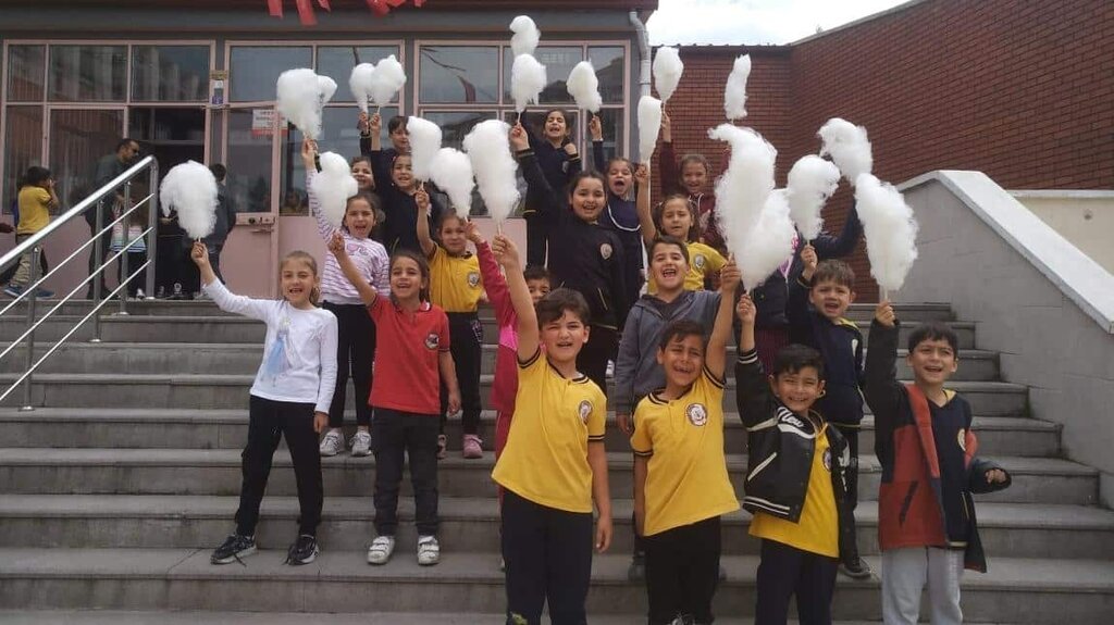 Primary school Hurriyet Primary School, Corum, photo