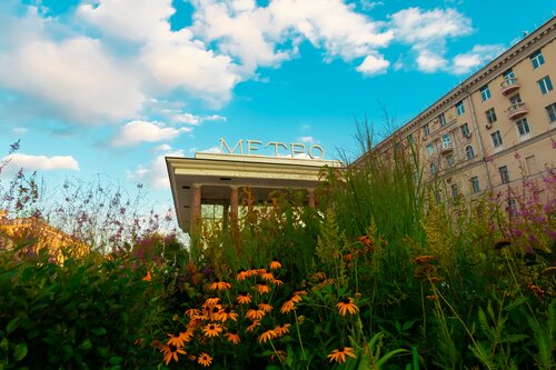 Xola anal porno video