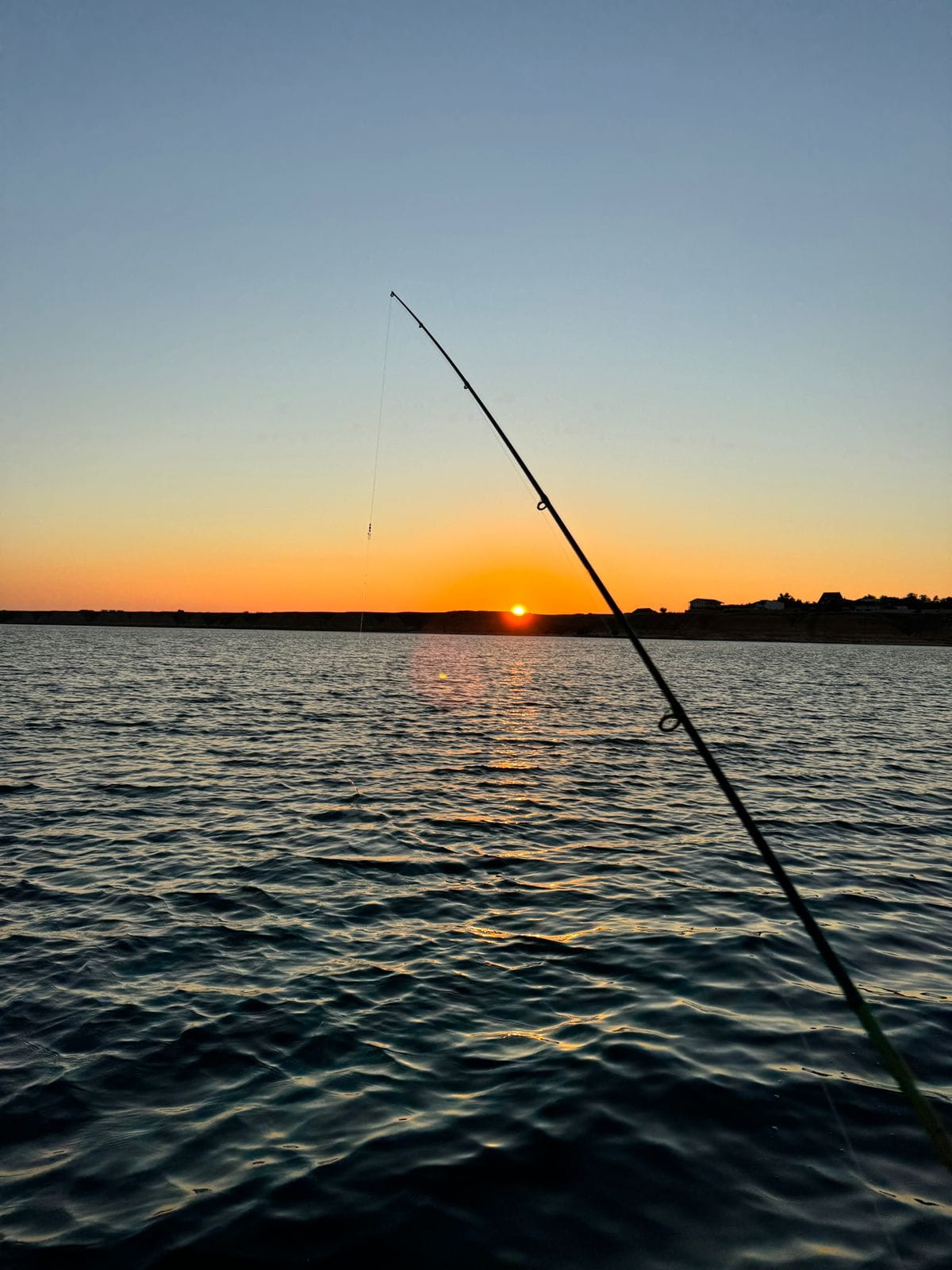 Фото Семейный