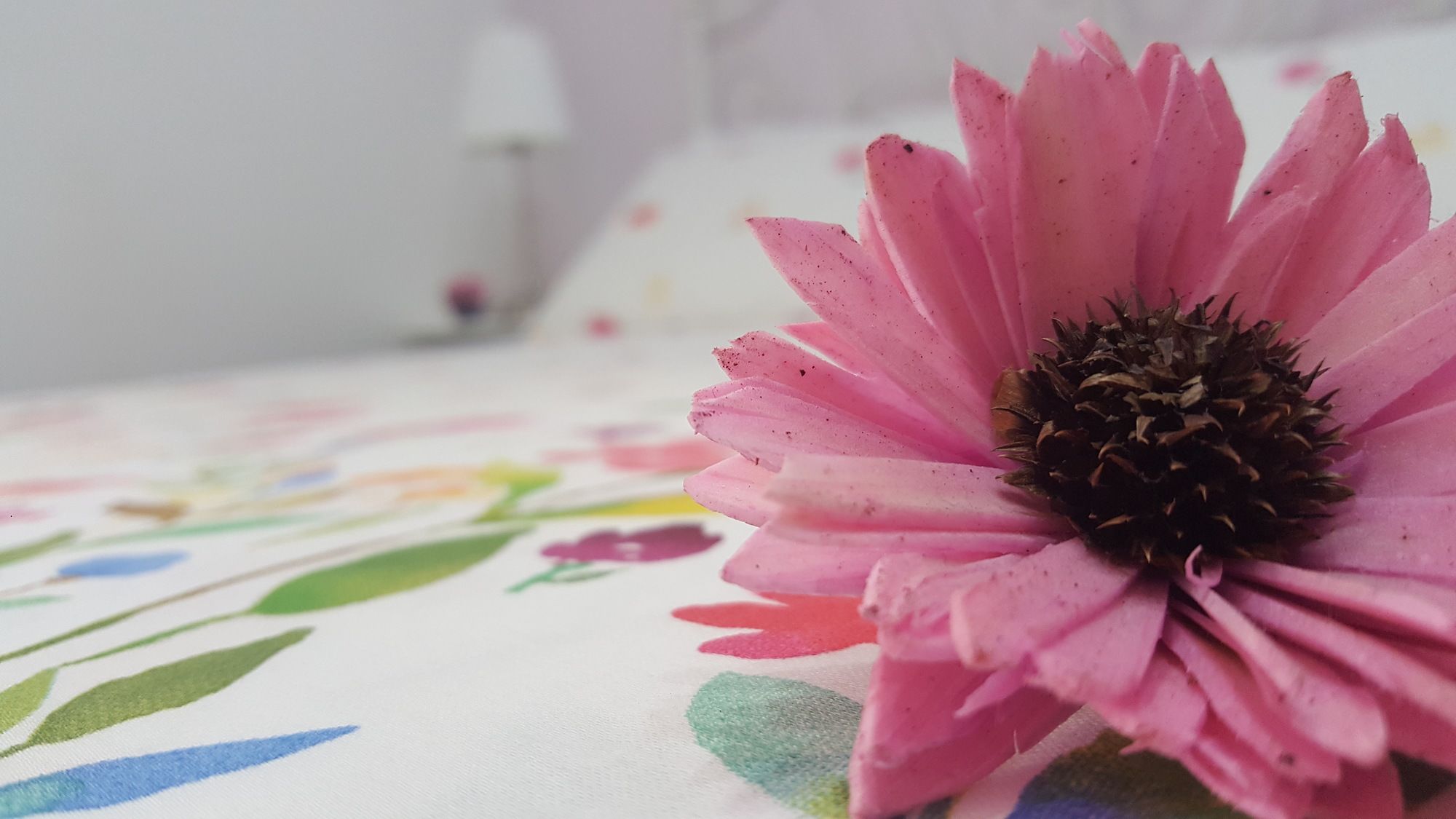 Фото Casa Provenza Rooms