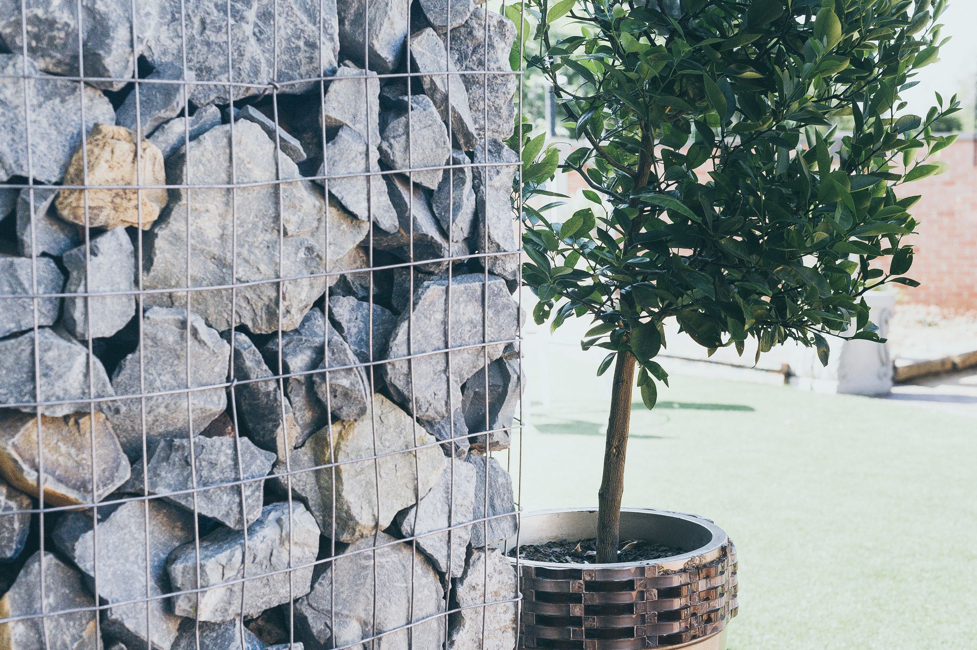 Фото B and B Sandton