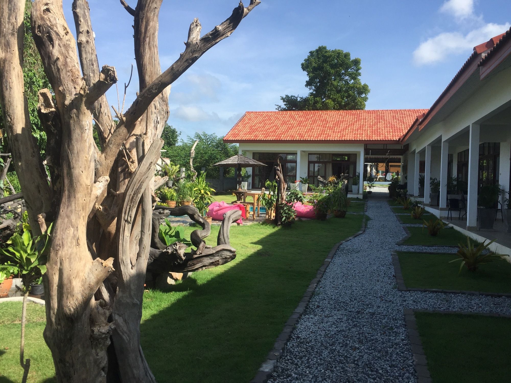 Фото Tree Roots Retreat