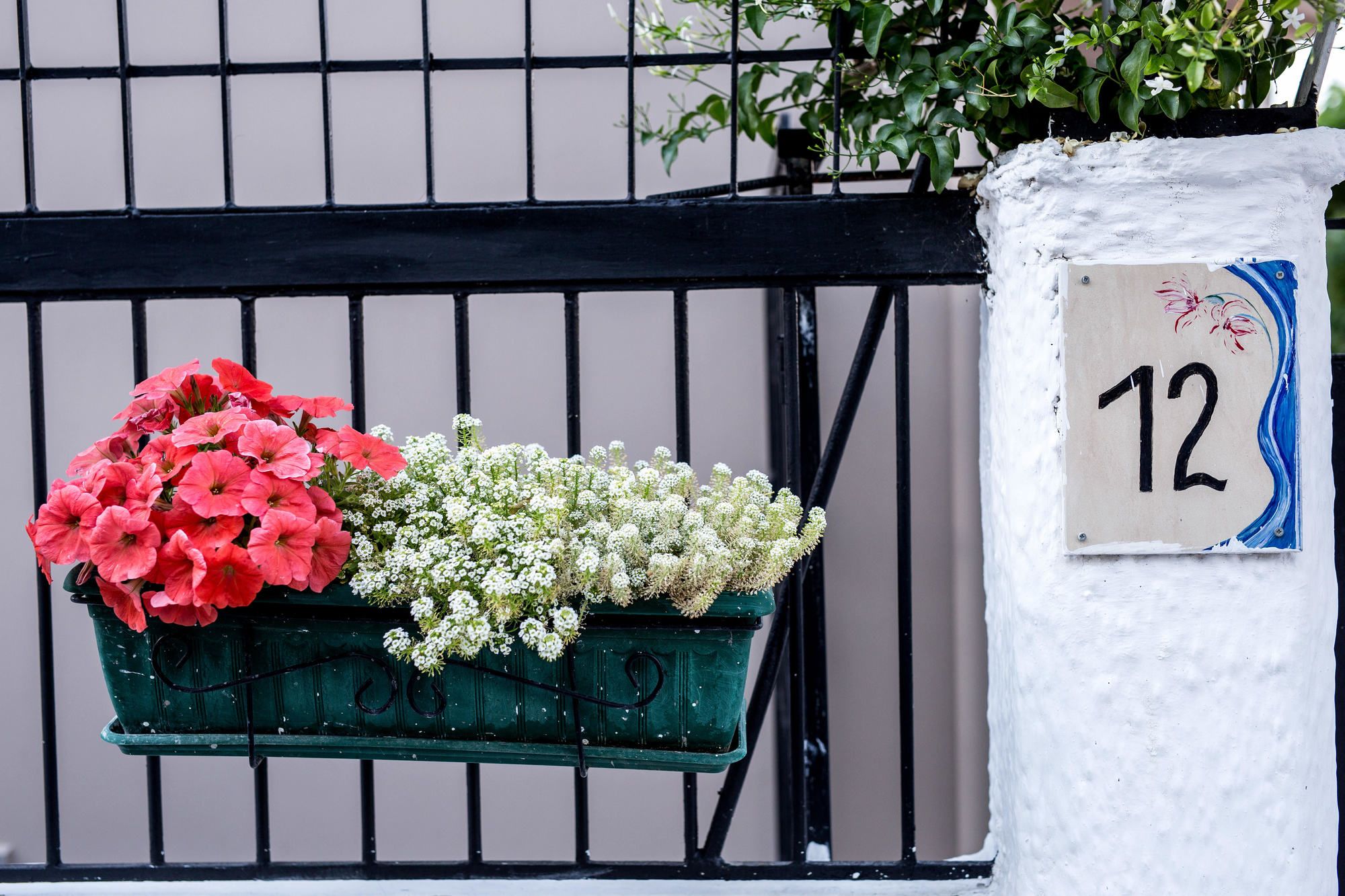 Фото Oasis Apartments